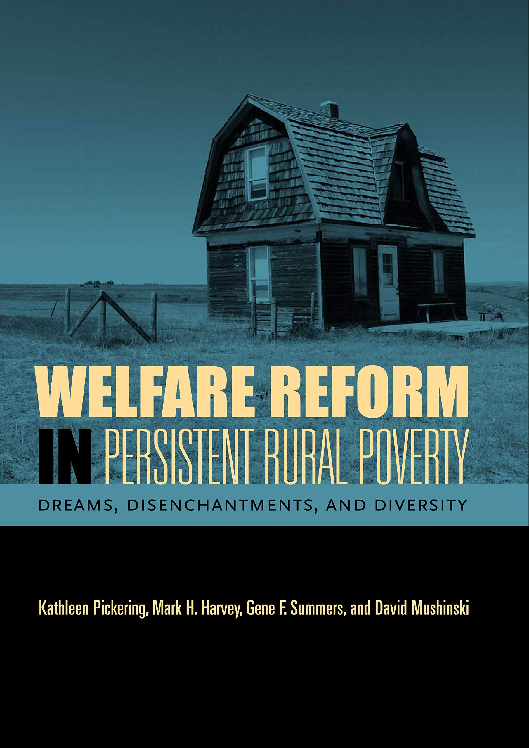 Welfare Reform in Persistent Rural Poverty: Dreams, Disenchantments, And Diversity (Rural Studies) Social Sciences