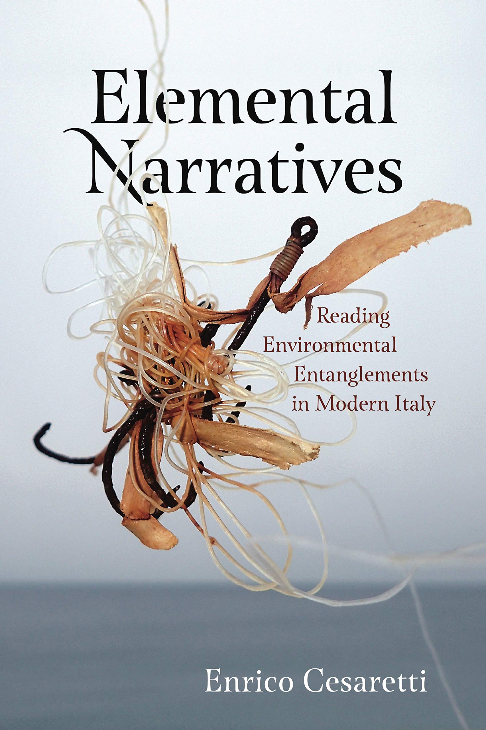 Elemental Narratives Contemporary literature