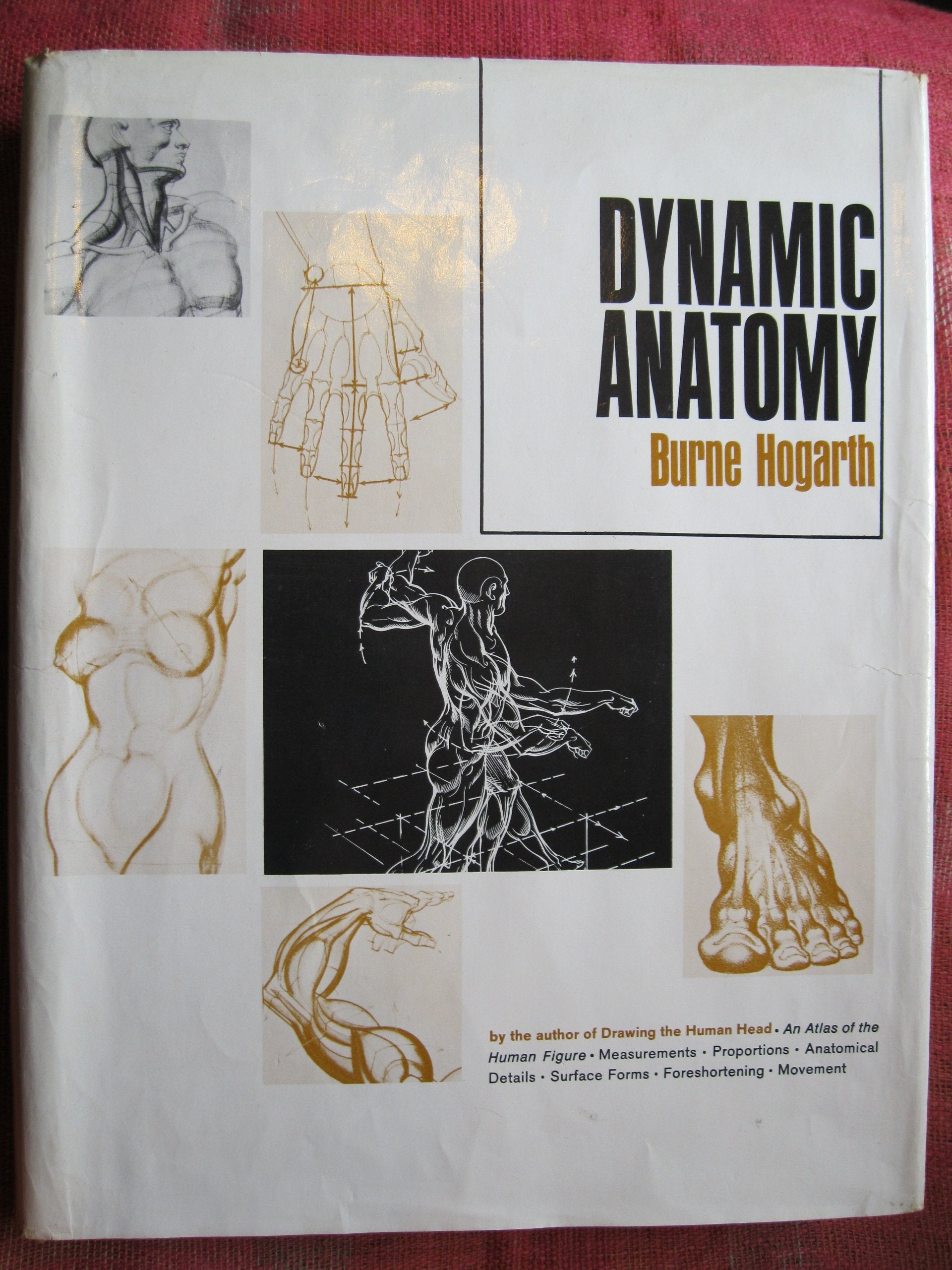 Dynamic Anatomy Books