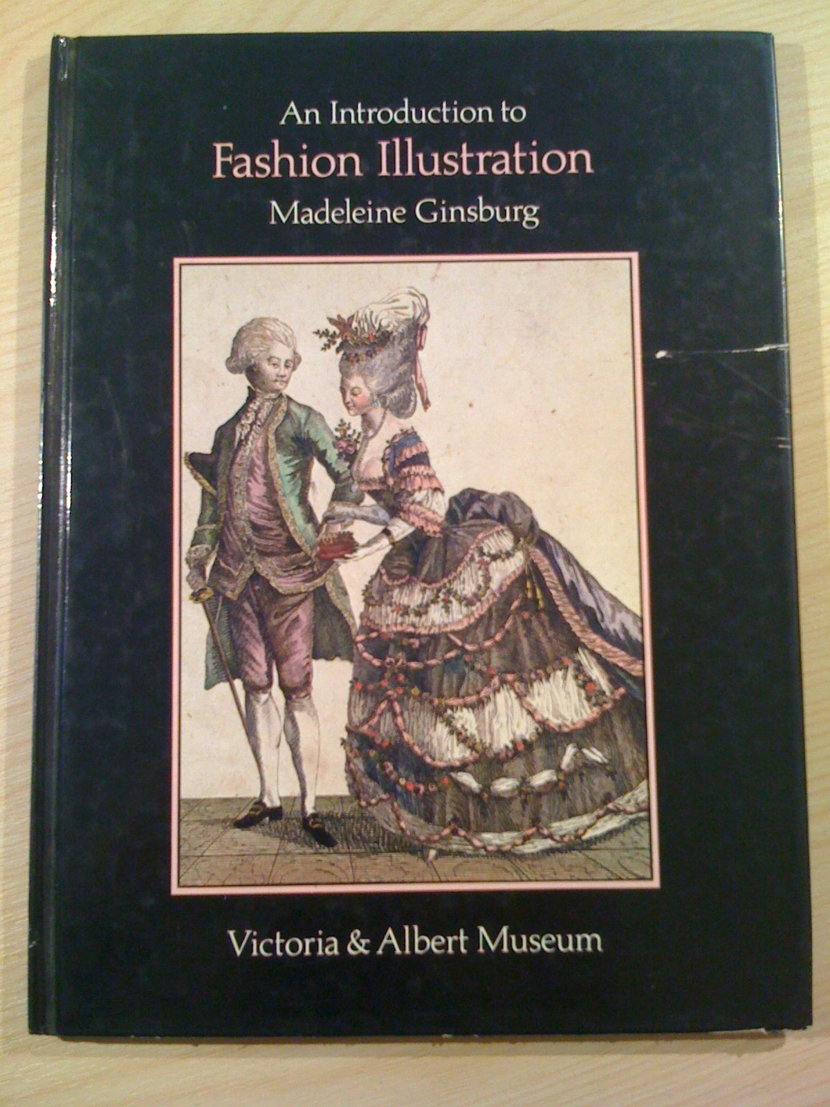 Fashion Illustrations (V.& A.Museum Guides) Books
