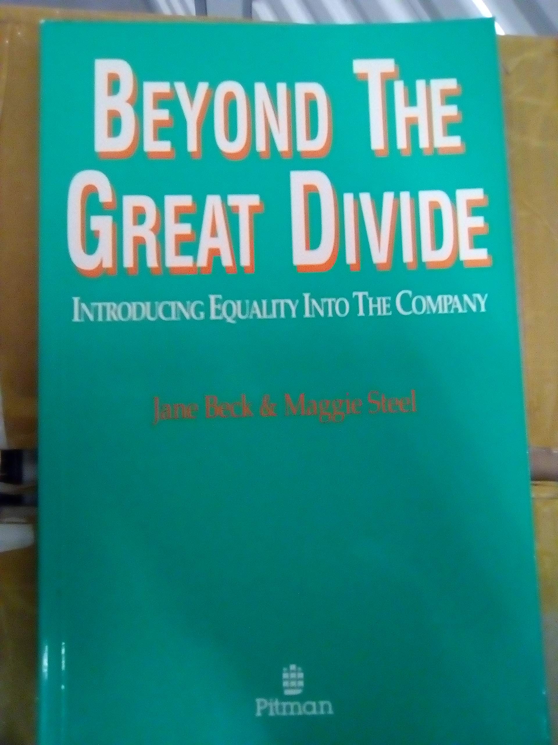 Beyond The Great Divide Introducing Equality For Women Into The Company Books