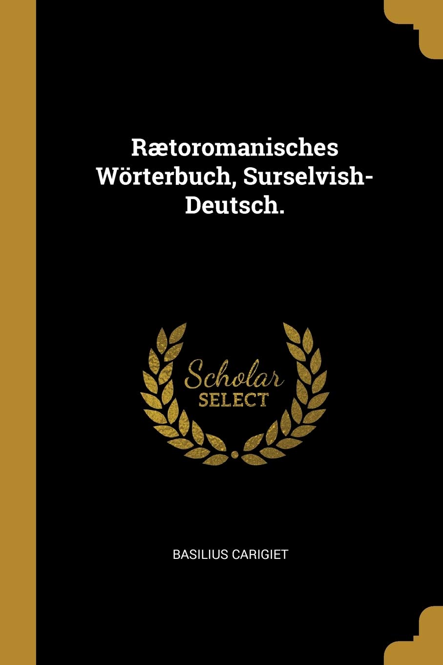 Rætoromanisches Wörterbuch, Surselvish-Deutsch. Politics & History