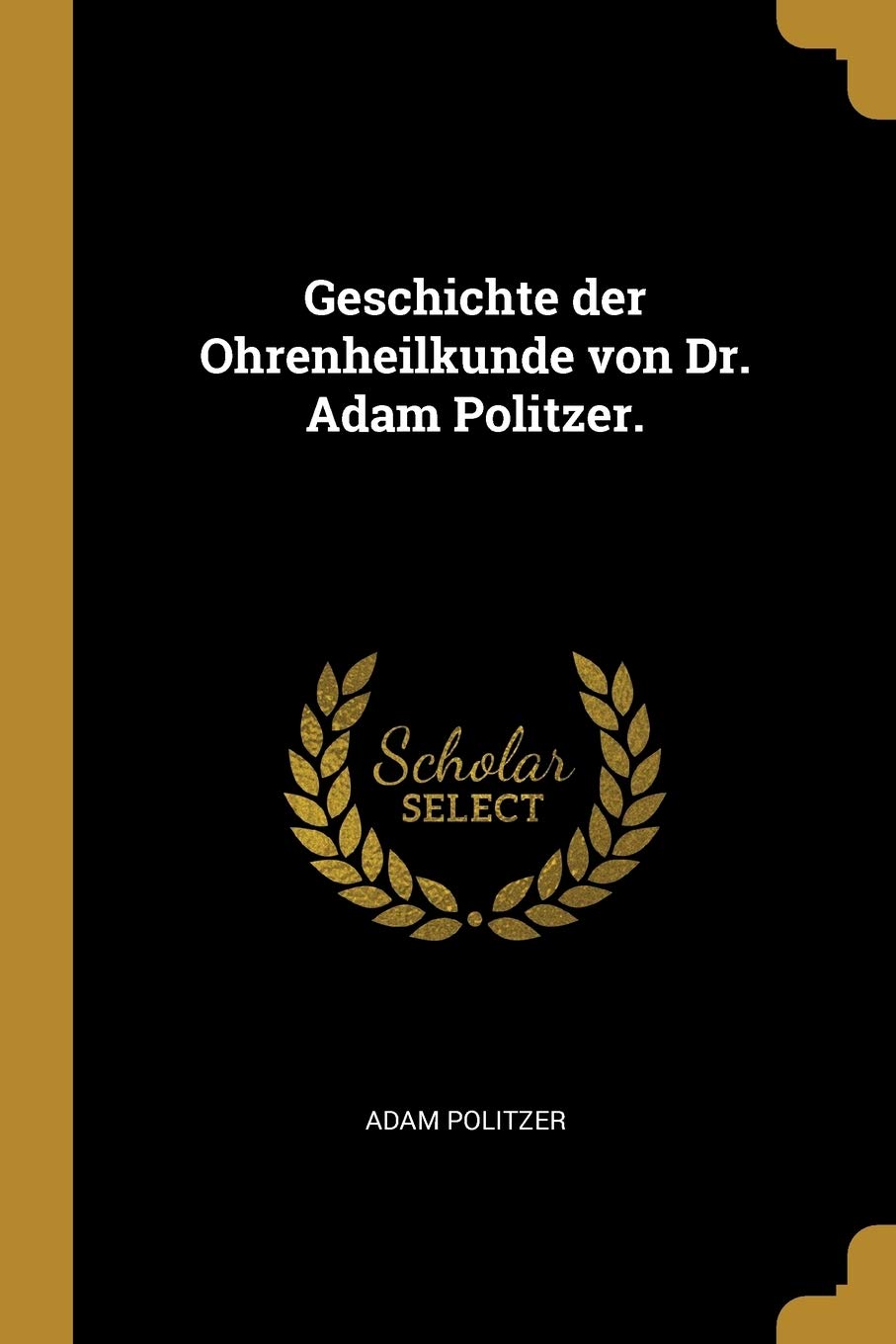 Geschichte der Ohrenheilkunde von Dr. Adam Politzer. Politics & History
