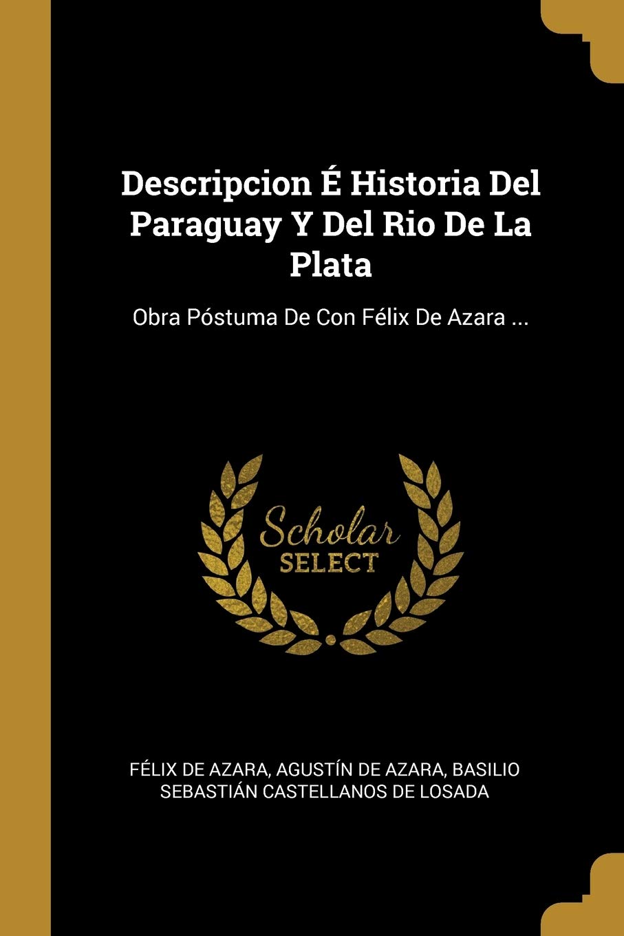 Descripcion É Historia Del Paraguay Y Del Rio De La Plata: Obra Póstuma De Con Félix De Azara ... Politics & History