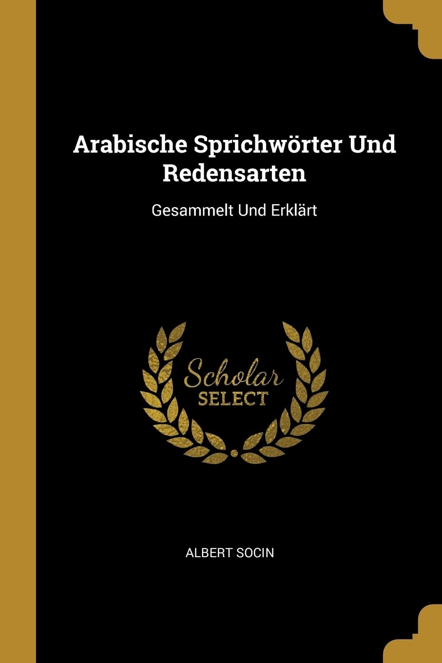 Arabische Sprichwrter Und Redensarten: Gesammelt Und Erklrt Politics & History