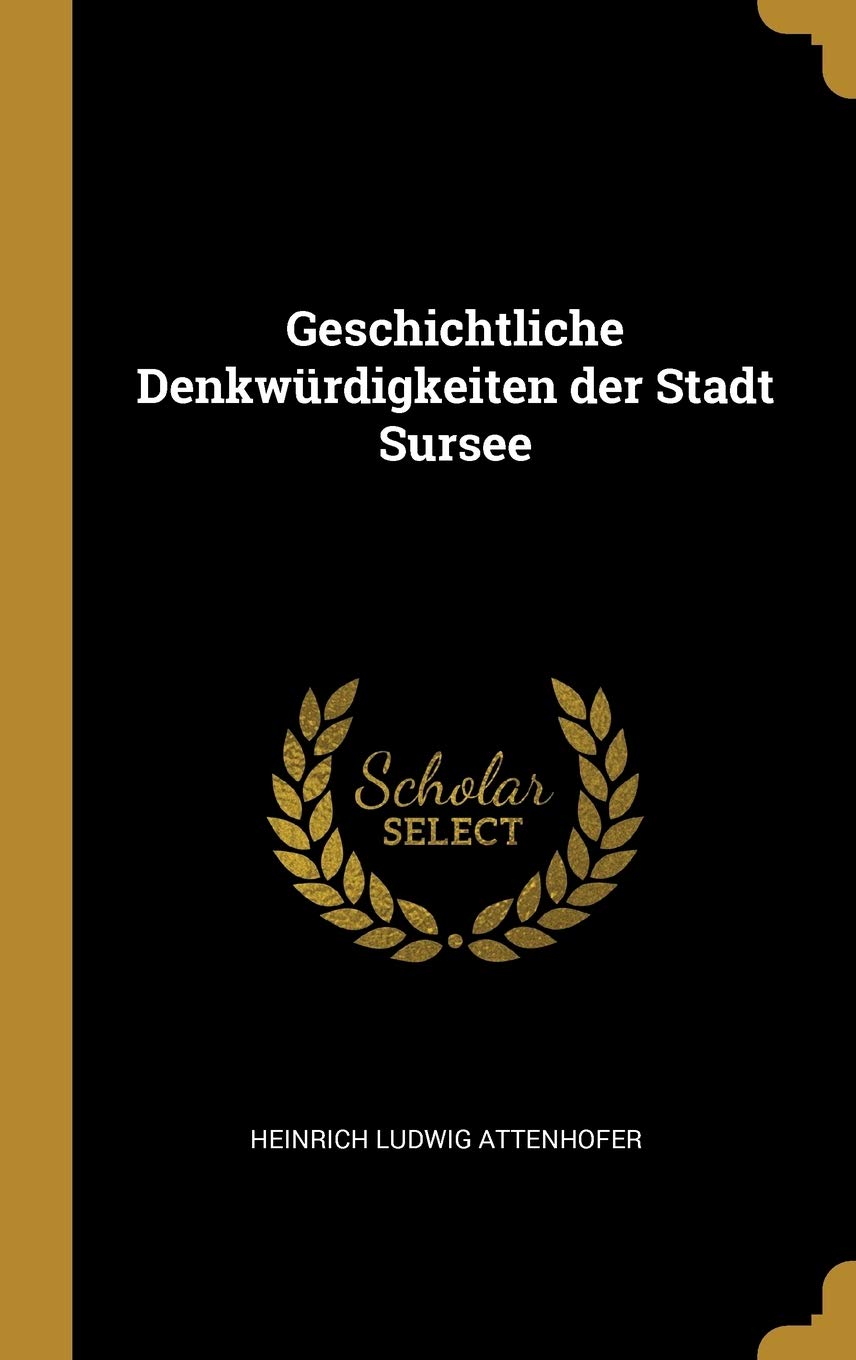 Geschichtliche Denkwrdigkeiten der Stadt Sursee Contemporary literature