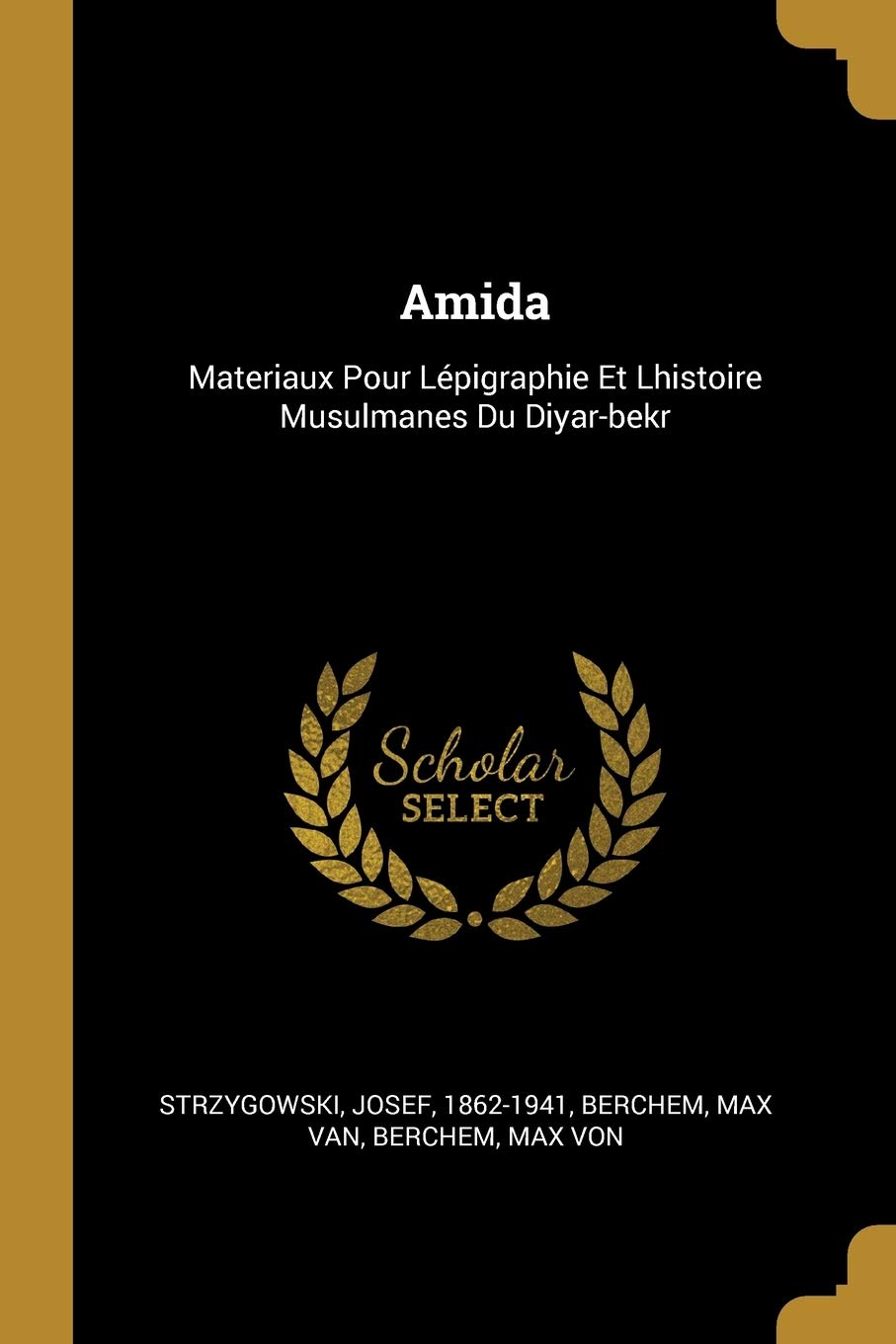 Amida: Materiaux Pour Lépigraphie Et Lhistoire Musulmanes Du Diyar-bekr Politics & History