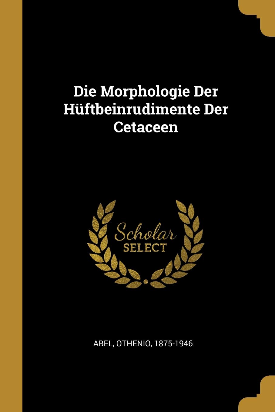 Die Morphologie Der Hüftbeinrudimente Der Cetaceen Natural Sciences