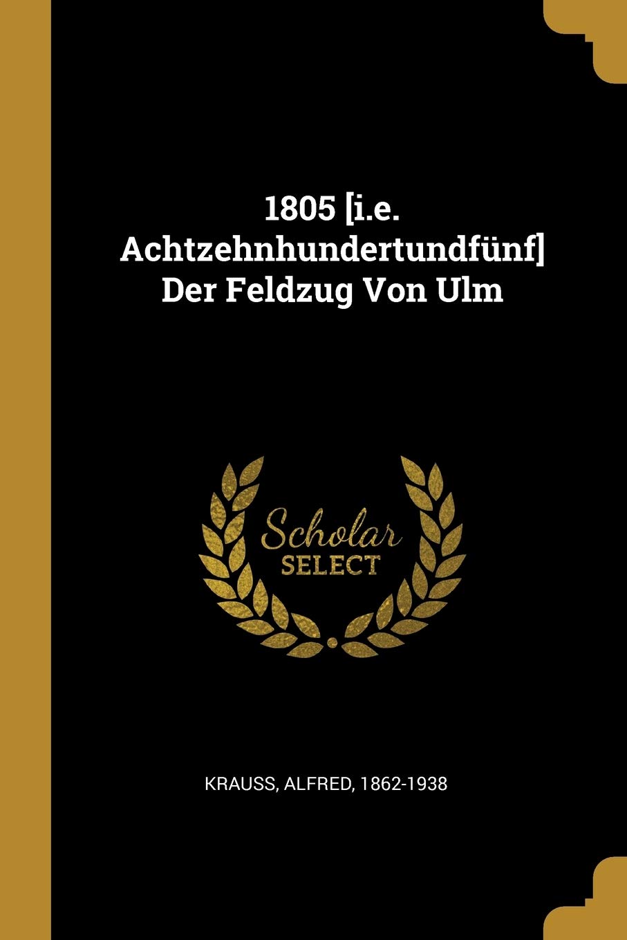 1805 Der Feldzug Von Ulm Politics & History