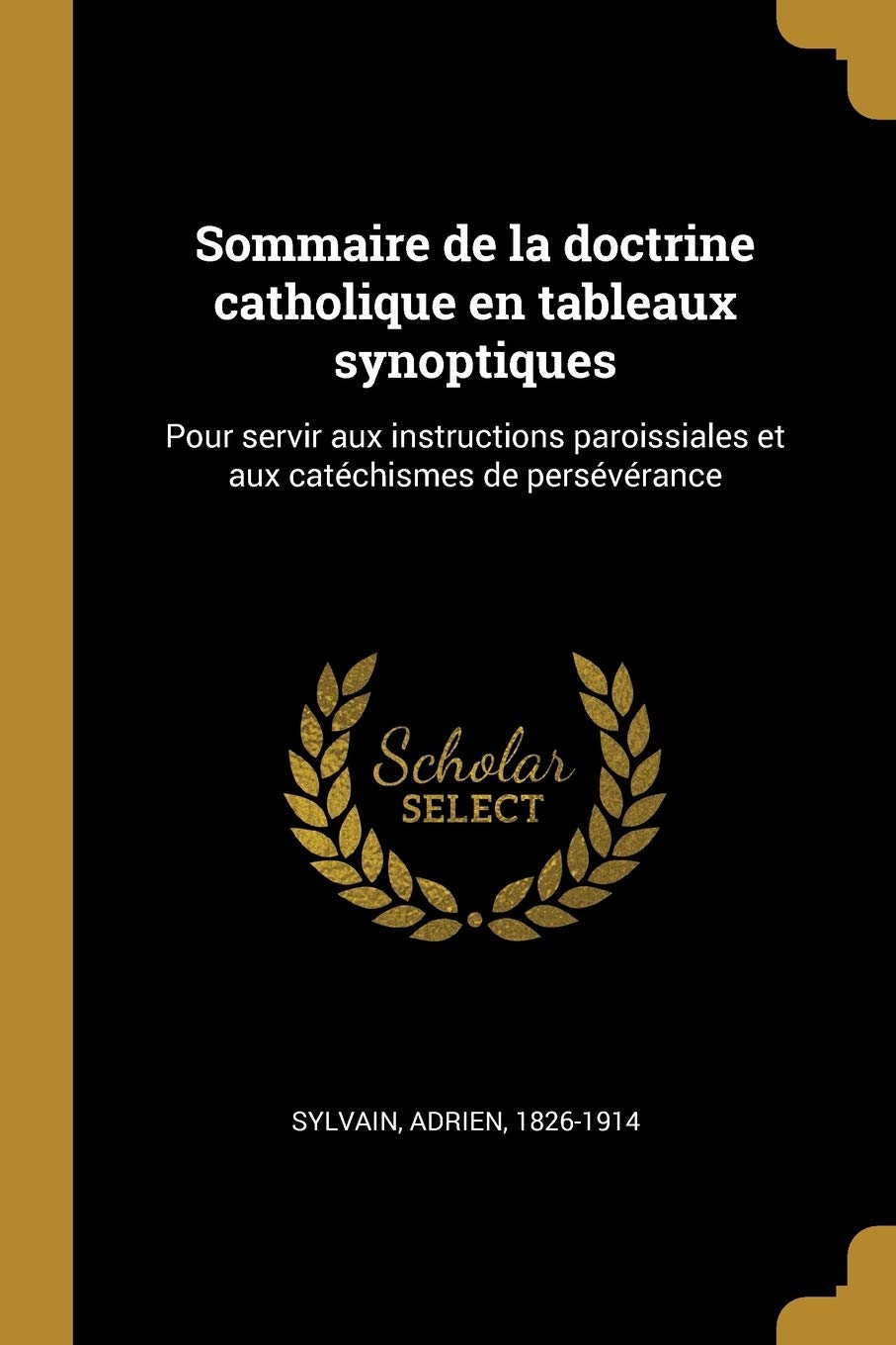 Sommaire de la doctrine catholique en tableaux synoptiques: Pour servir aux instructions paroissiales et aux catéchismes de persévérance book