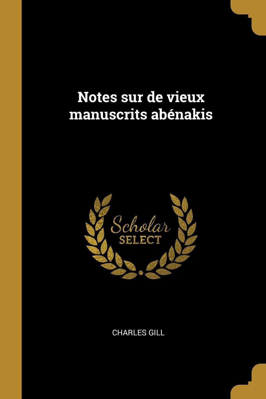 Notes sur de vieux manuscrits abénakis book