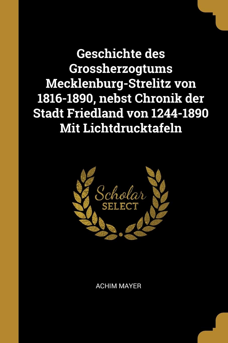 Geschichte des Grossherzogtums Mecklenburg-Strelitz von 1816-1890, nebst Chronik der Stadt Friedland von 1244-1890 Mit Lichtdrucktafeln Politics & History