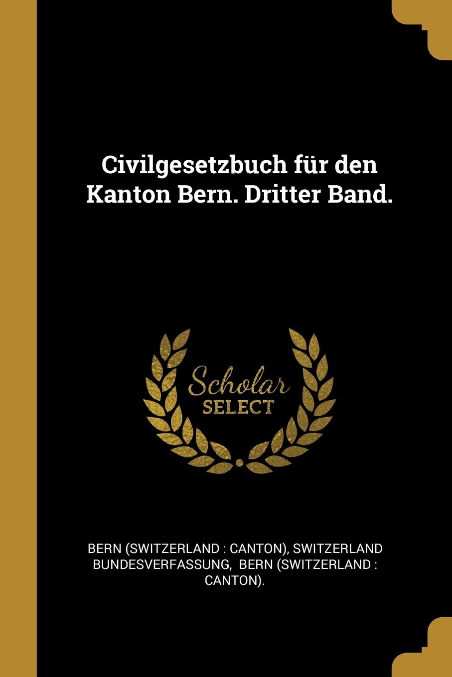 Civilgesetzbuch Für Den Kanton Bern. Dritter Band. Politics & History