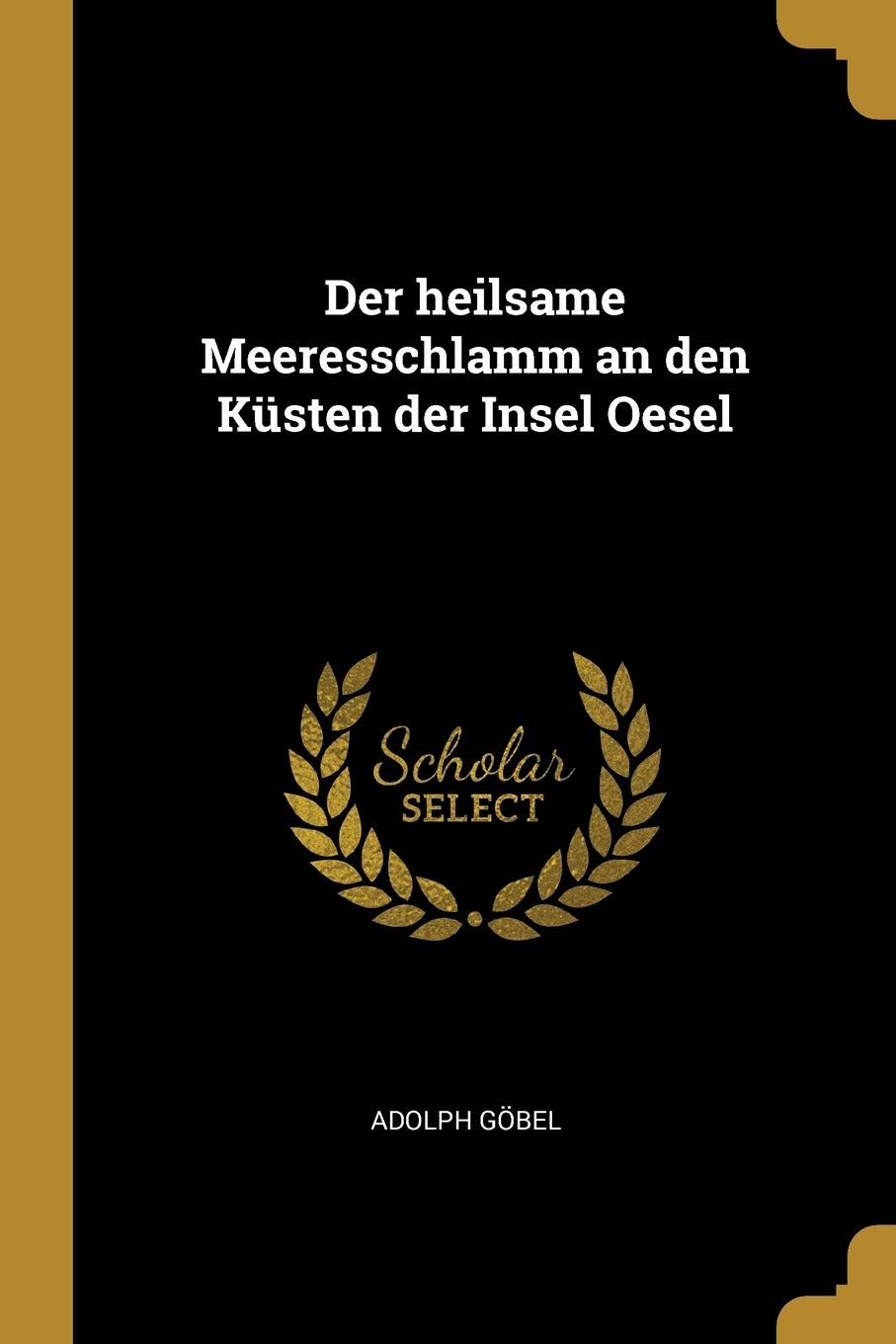 Der heilsame Meeresschlamm an den Küsten der Insel Oesel Politics & History