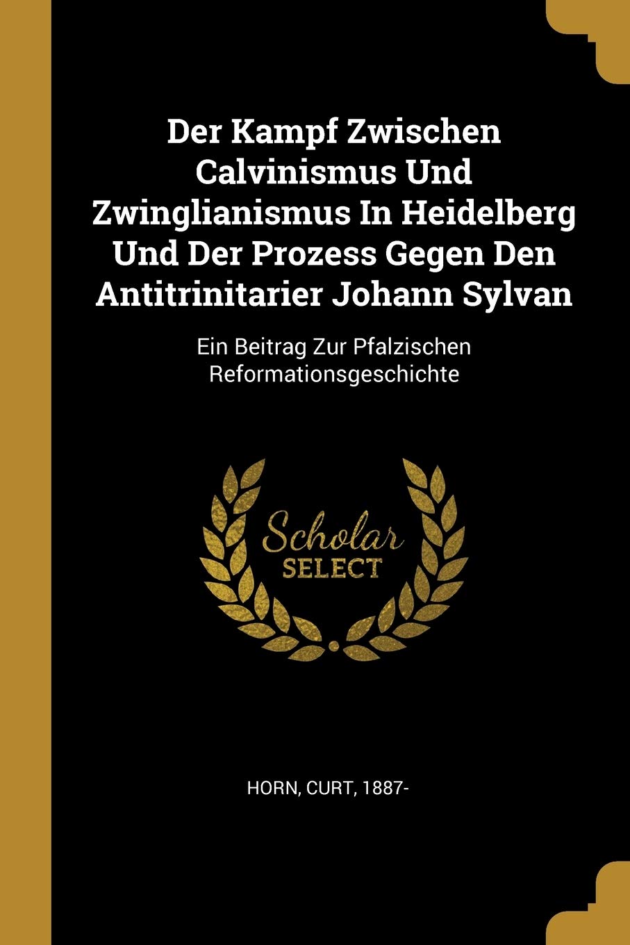 Der Kampf Zwischen Calvinismus Und Zwinglianismus In Heidelberg Und Der Prozess Gegen Den Antitrinitarier Johann Sylvan: Ein Beitrag Zur Pfalzischen Reformationsgeschichte Politics & History