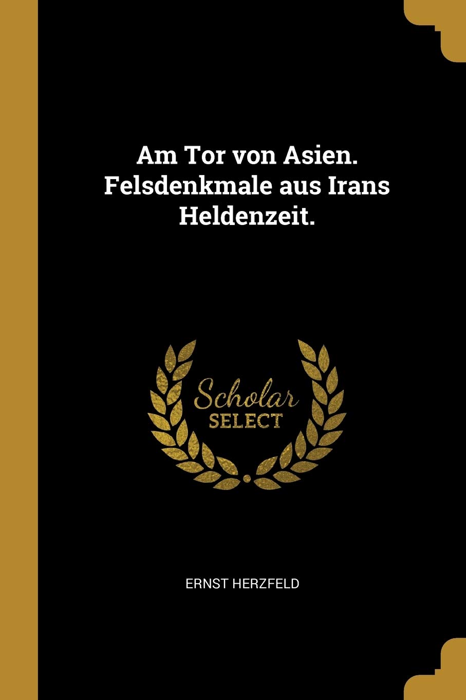 Am Tor von Asien. Felsdenkmale aus Irans Heldenzeit. Politics & History