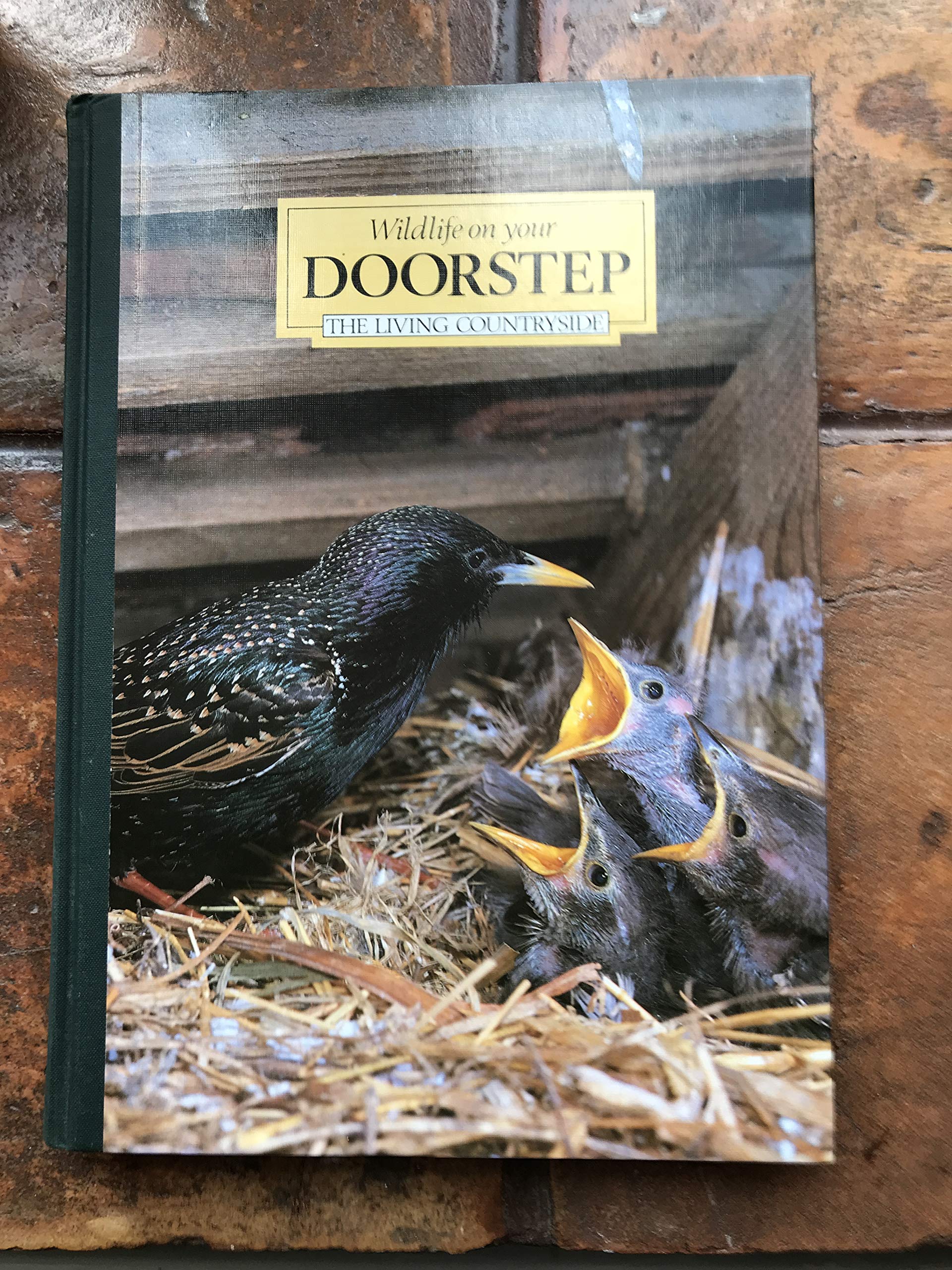 Wild Life on Your Doorstep (Living Countryside S.) Books