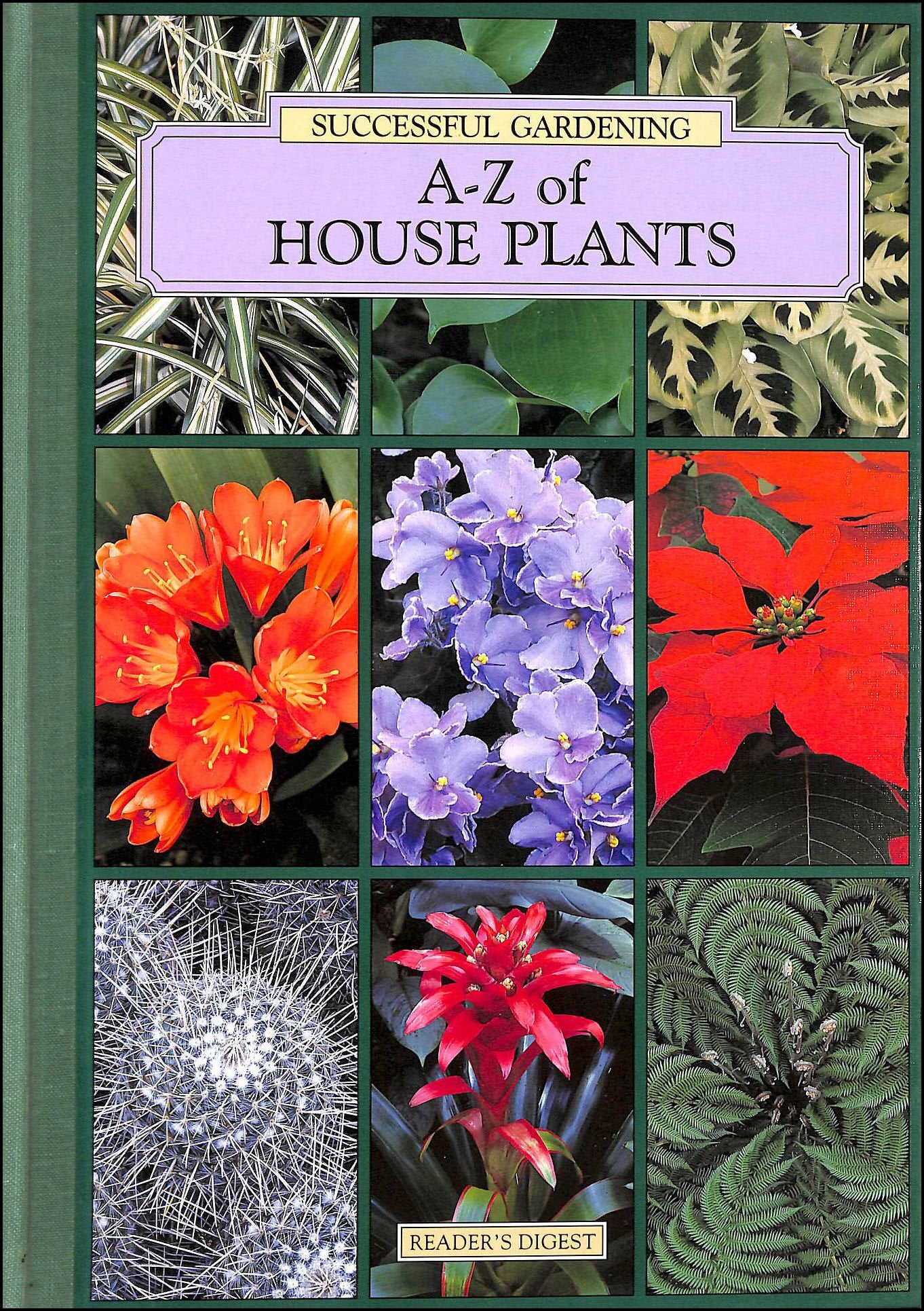 A-Z of house plants (Successful gardening) Books