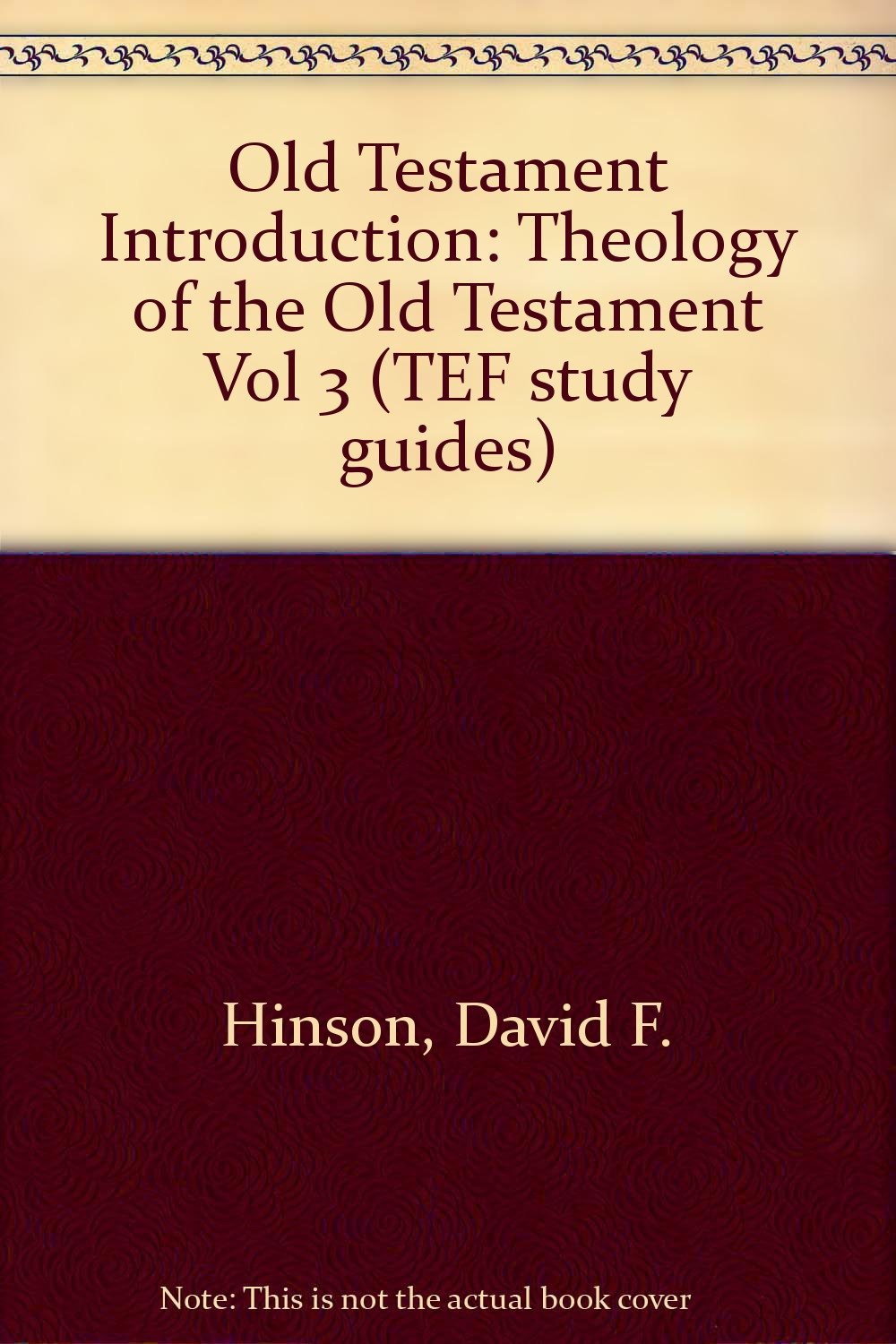 Theology of the Old Testament (Vol 3) (TEF study guides) Religion & Esotericism