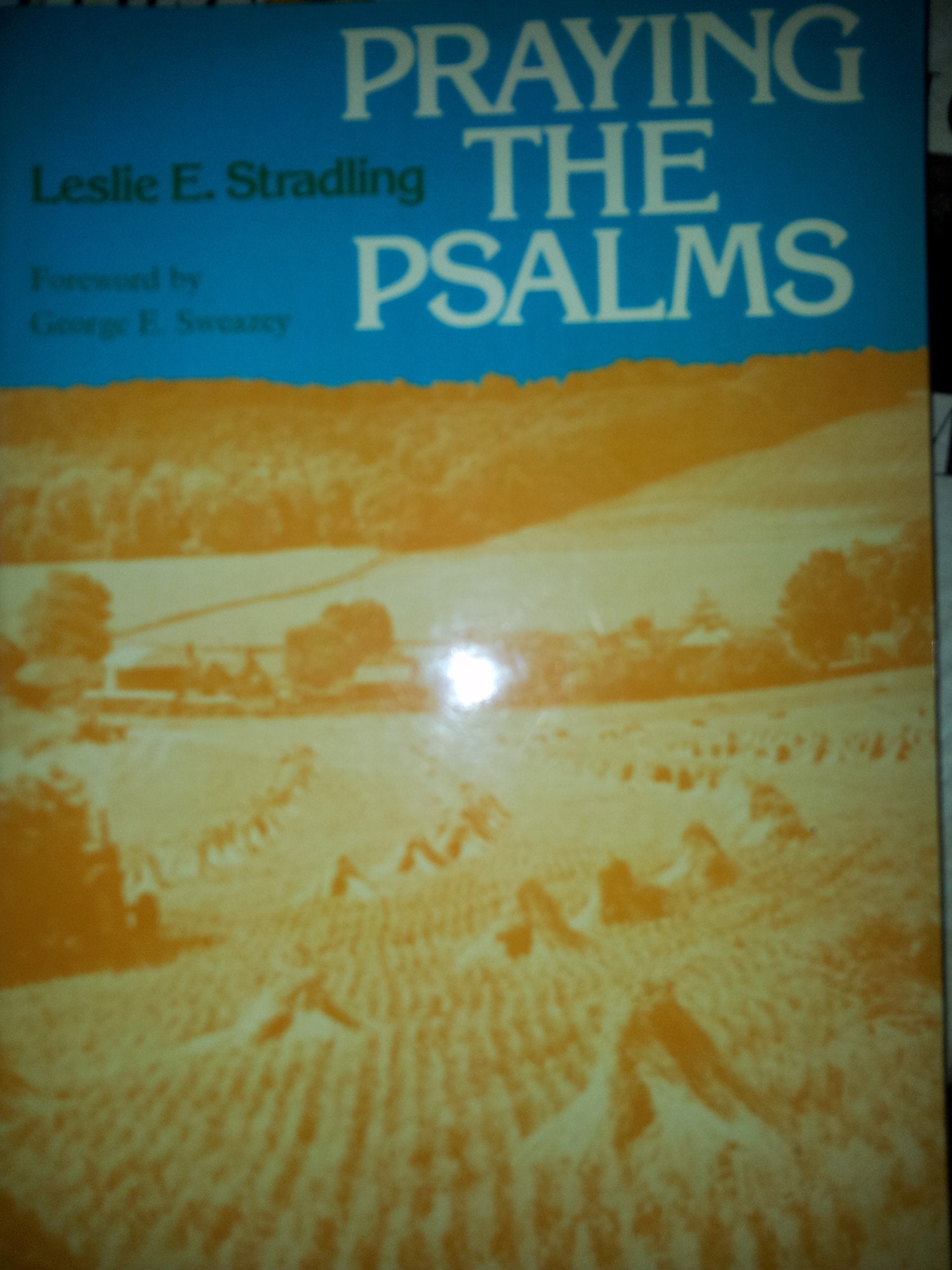 Product Image: Praying the Psalms