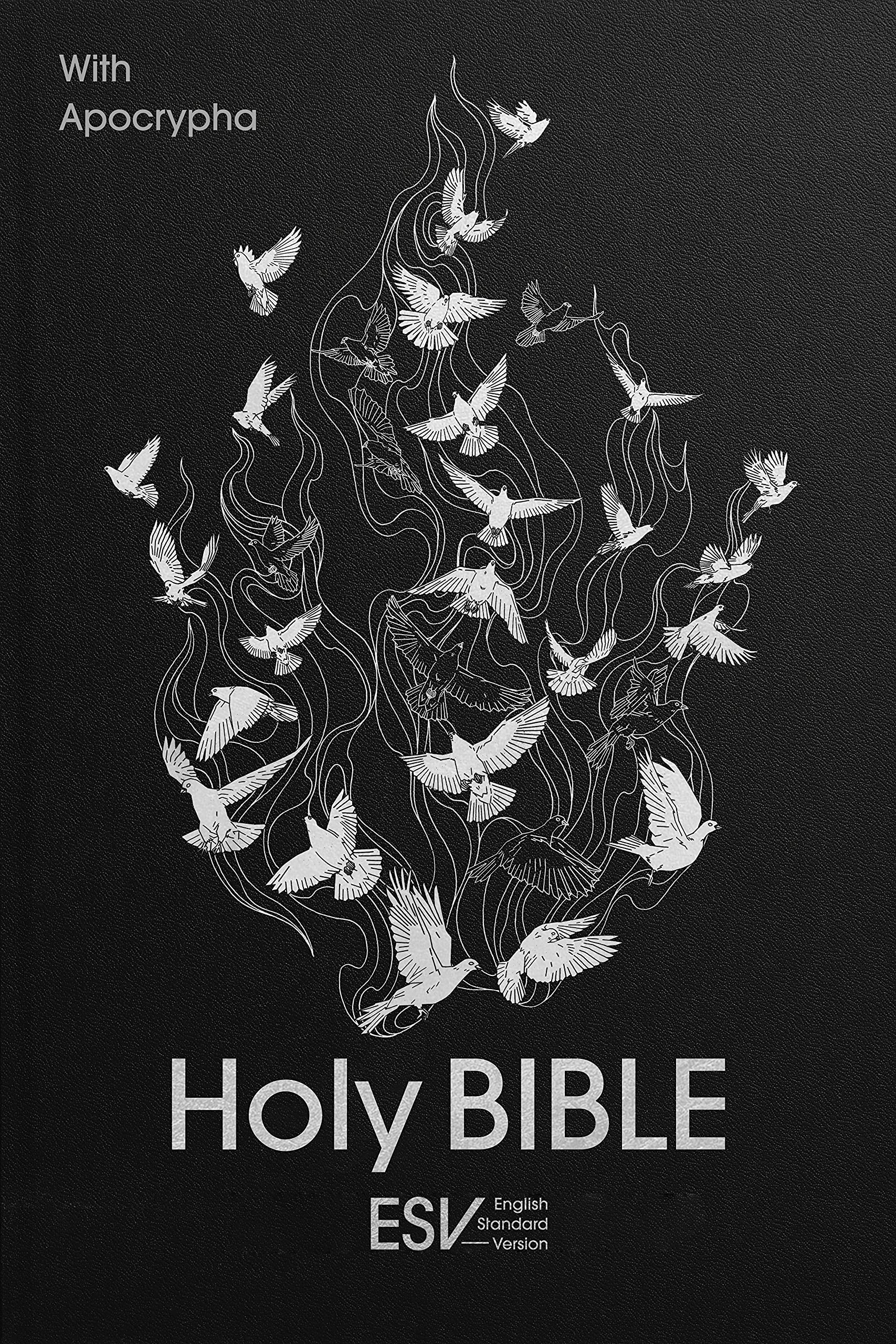 ESV Holy Bible with Apocrypha, Anglicized Standard Hardback: English Standard Version Religion & Esotericism