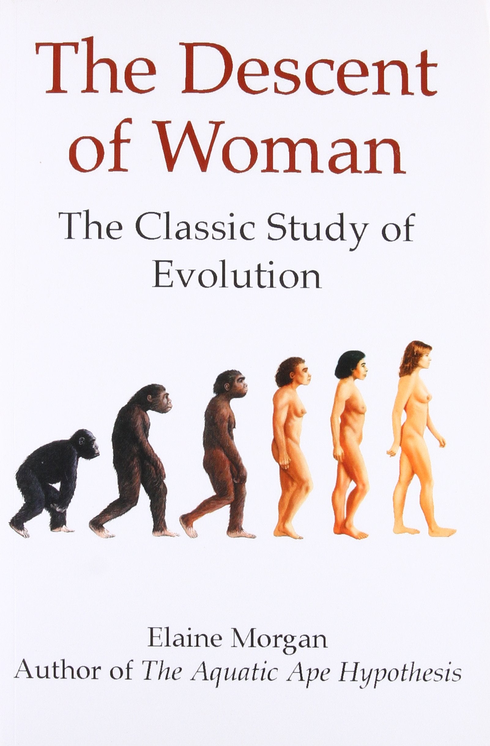 The Descent of Woman Law