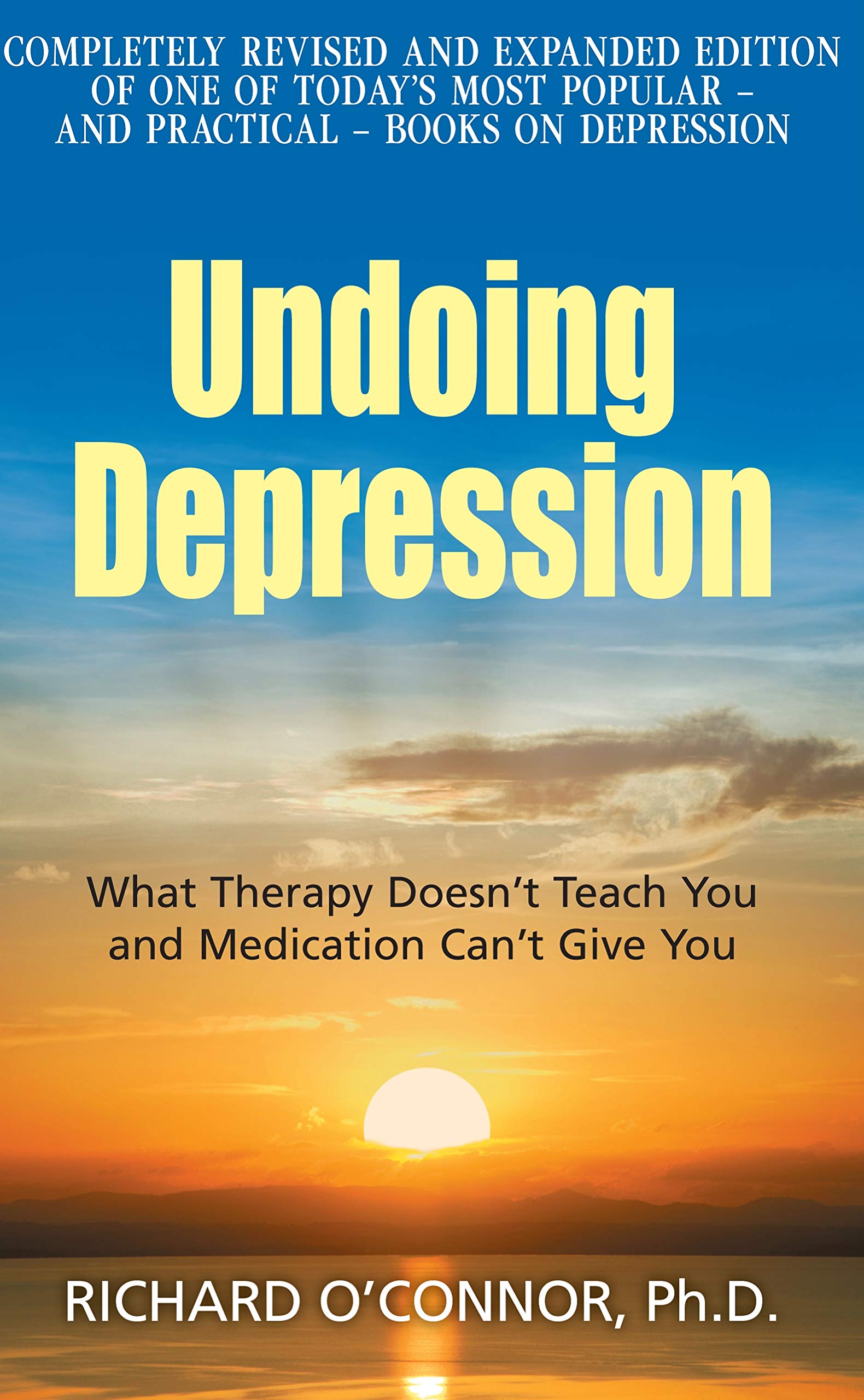 Undoing Depression: What Therapy Doesn't Teach You and Medication Can't Give You book