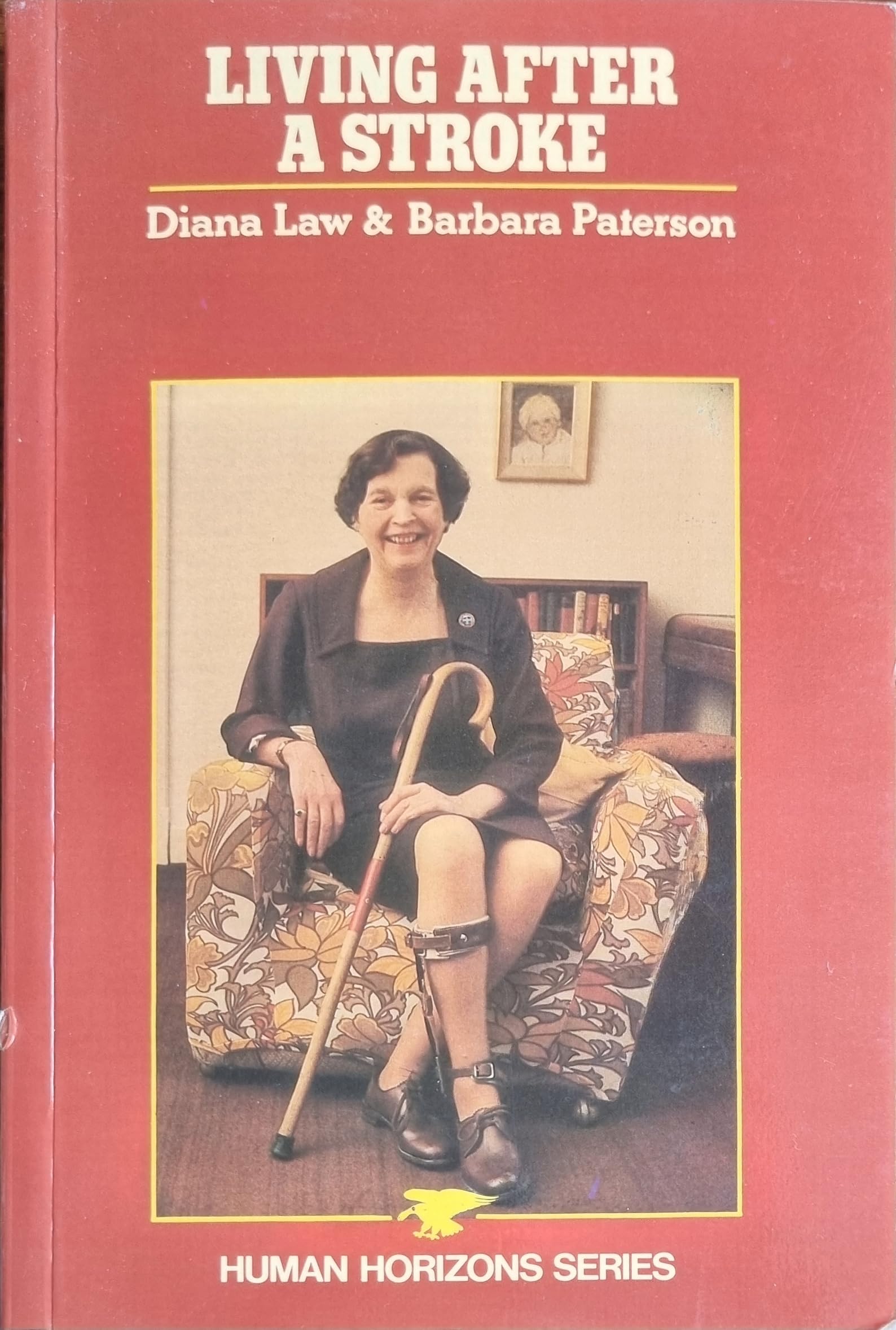 Living After a Stroke (Human Horizons S.) Self-help