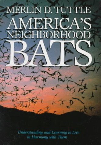 America's Neighborhood Bats Mathematics