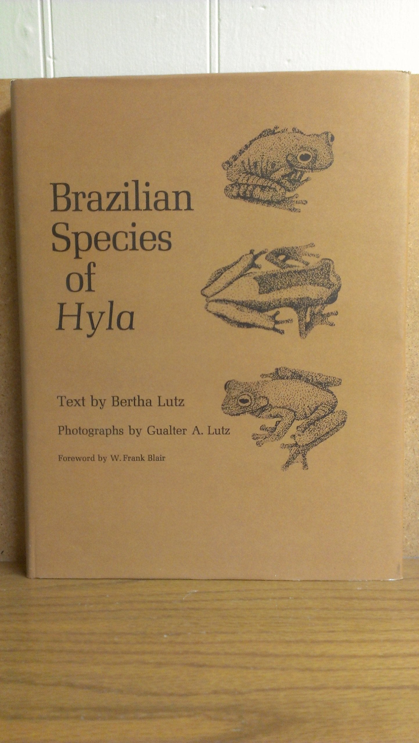 Brazilian Species of "Hyla" Mathematics