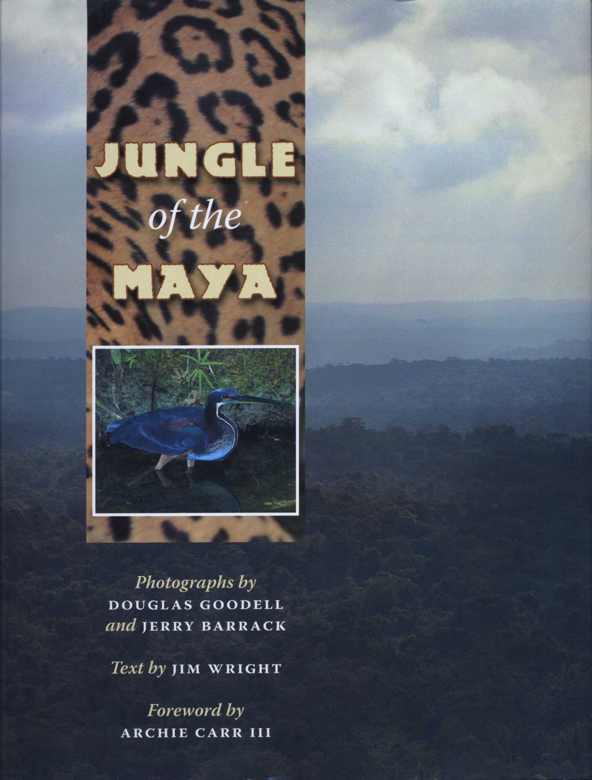 Jungle of the Maya Mathematics