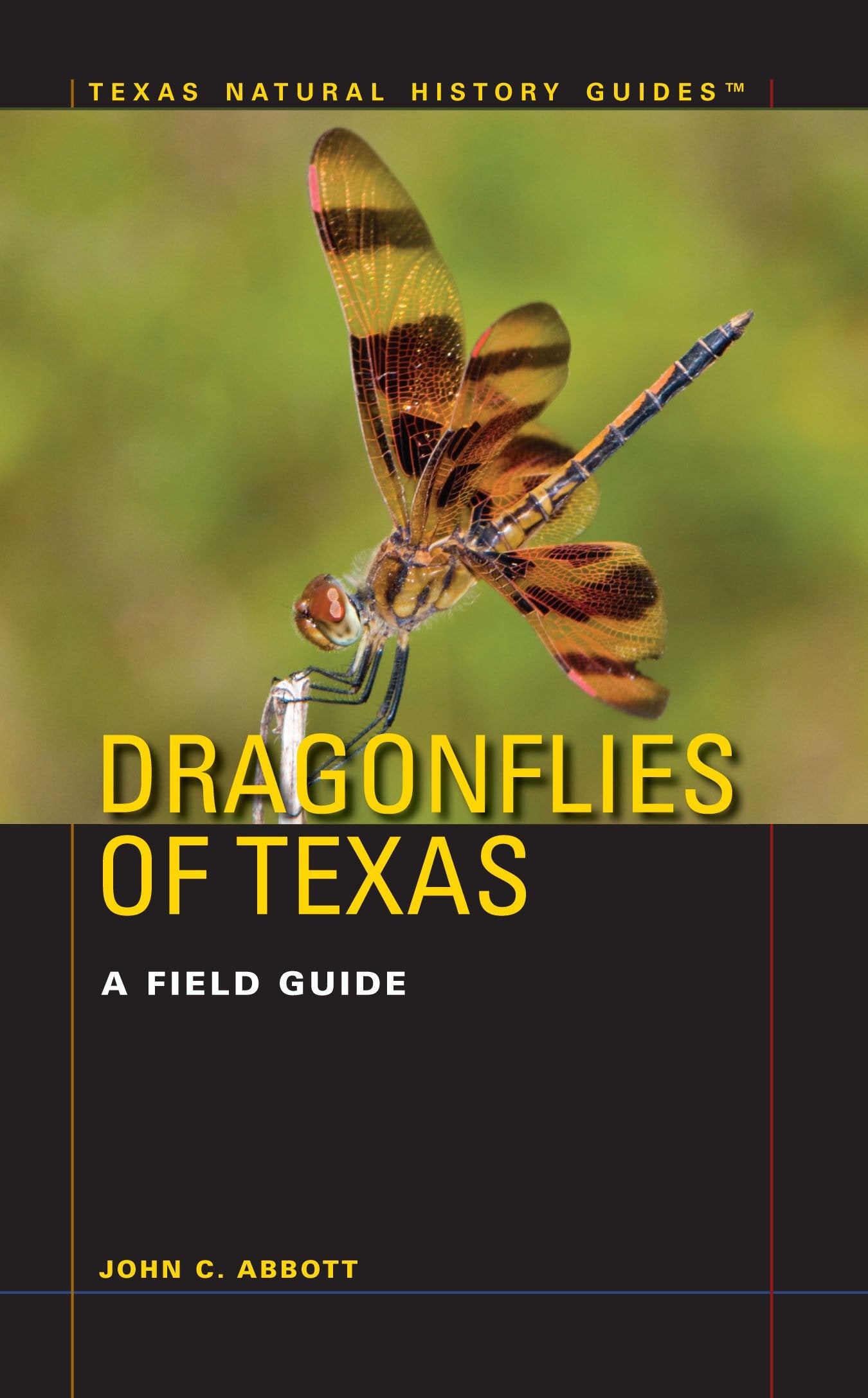 Dragonflies of Texas: A Field Guide (Texas Natural History Guides) Mathematics