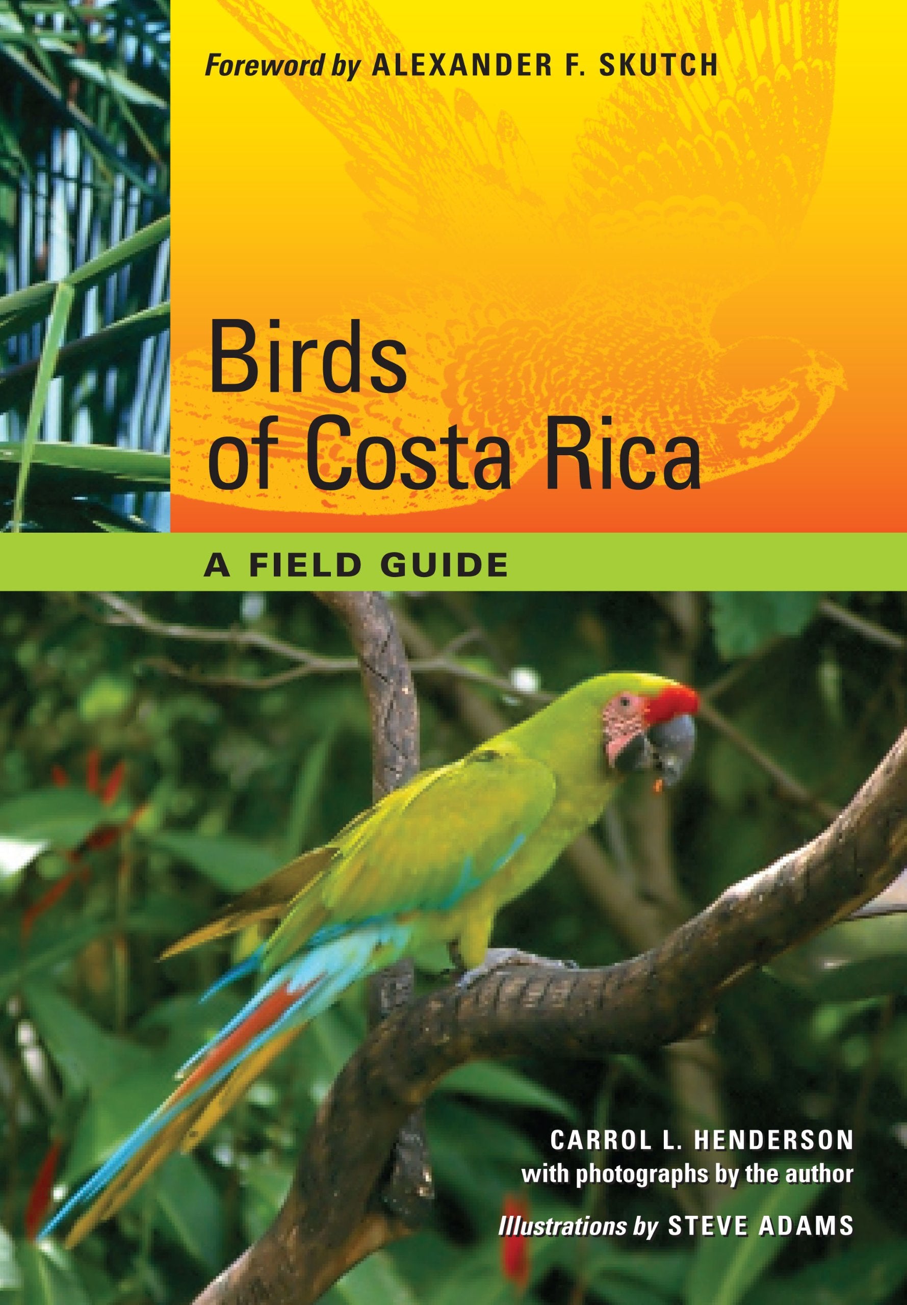 Birds of Costa Rica: A Field Guide (Corrie Herring Hooks, Band 64) Mathematics