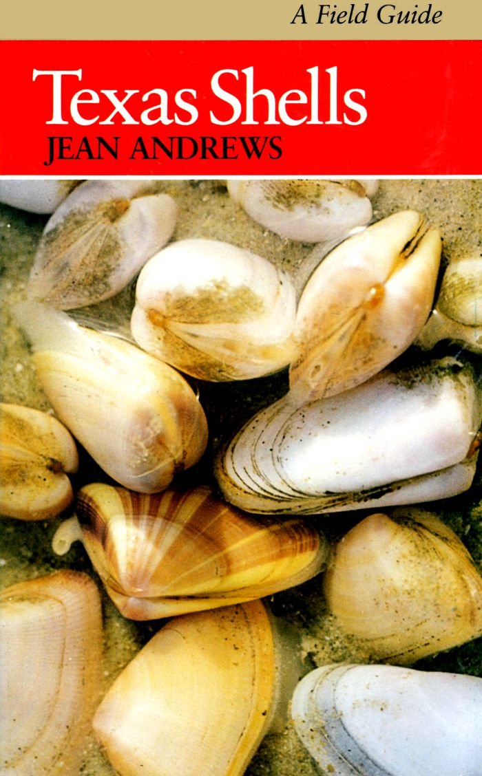 Texas Shells: A Field Guide (ELMA DILL RUSSELL SPENCER FOUNDATION SERIES) Mathematics