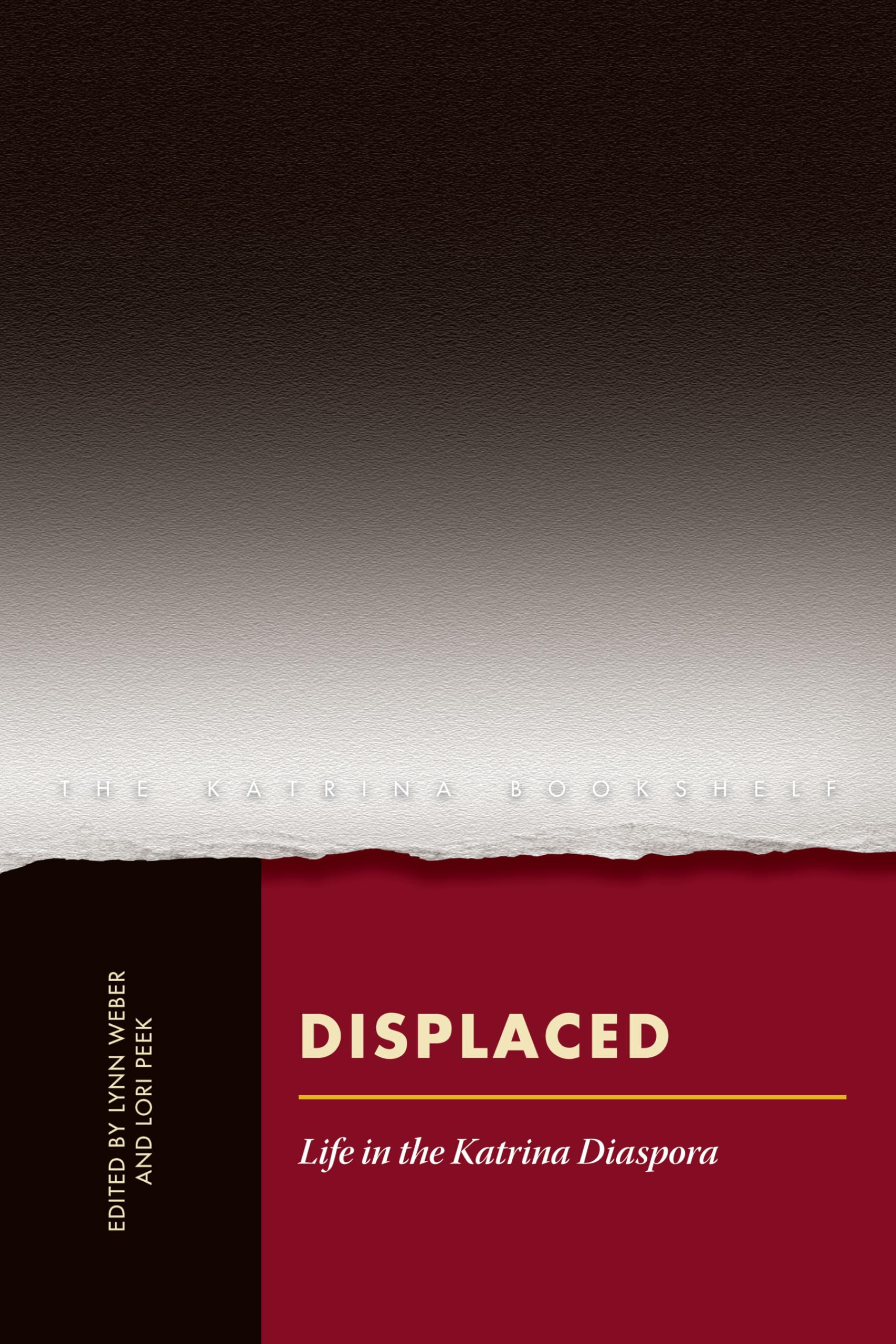 Displaced: Life in the Katrina Diaspora (Katrina Bookshelf, 1, Band 1) Books