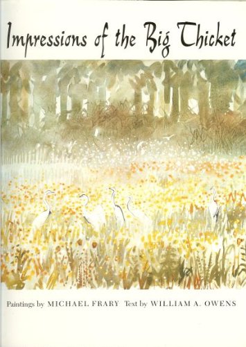 Impressions of the Big Thicket (Blaffer Series of Southwestern Art) Film, Art & Culture