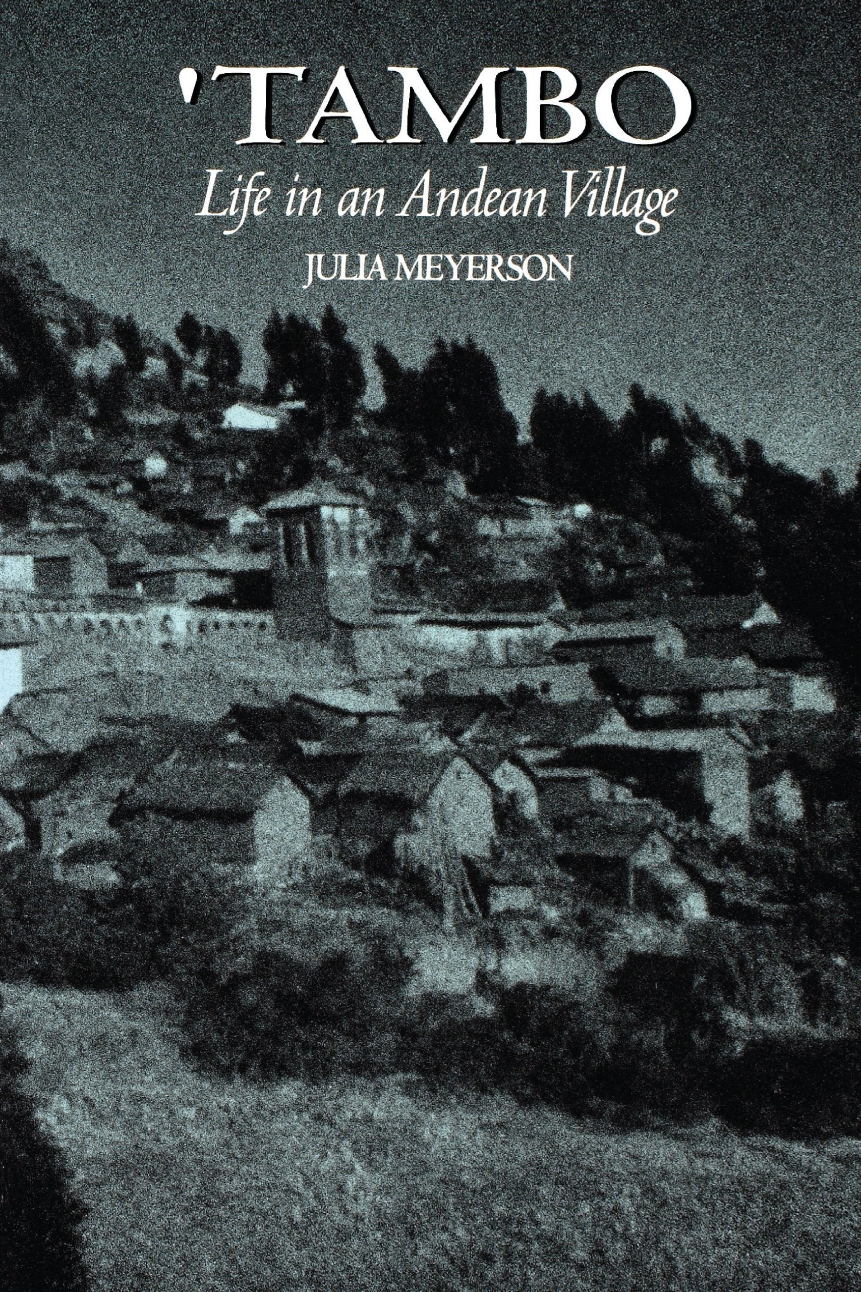 Tambo: Life in an Andean Village Books