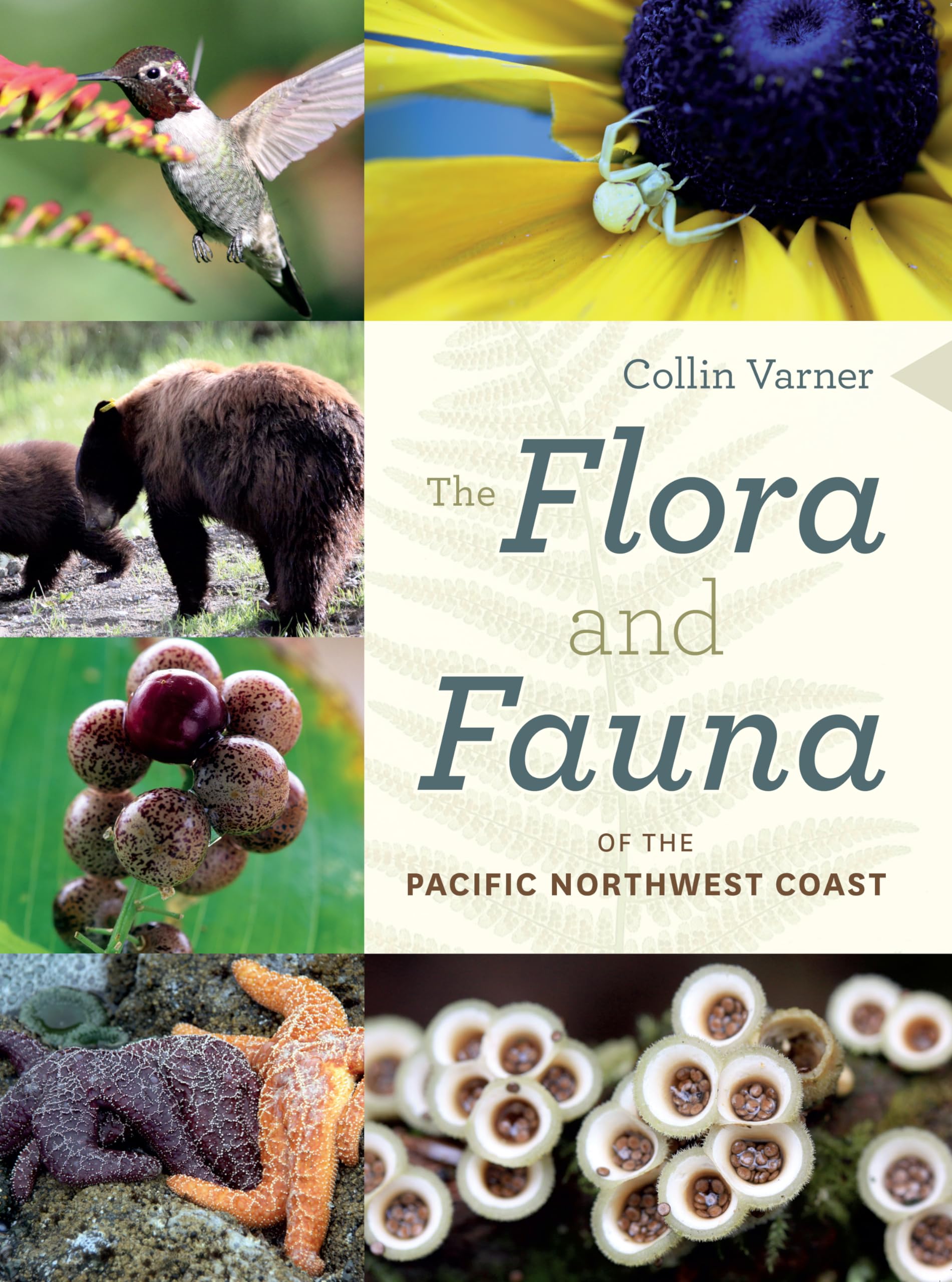 The Flora and Fauna of the Pacific Northwest Coast Geology & Geography