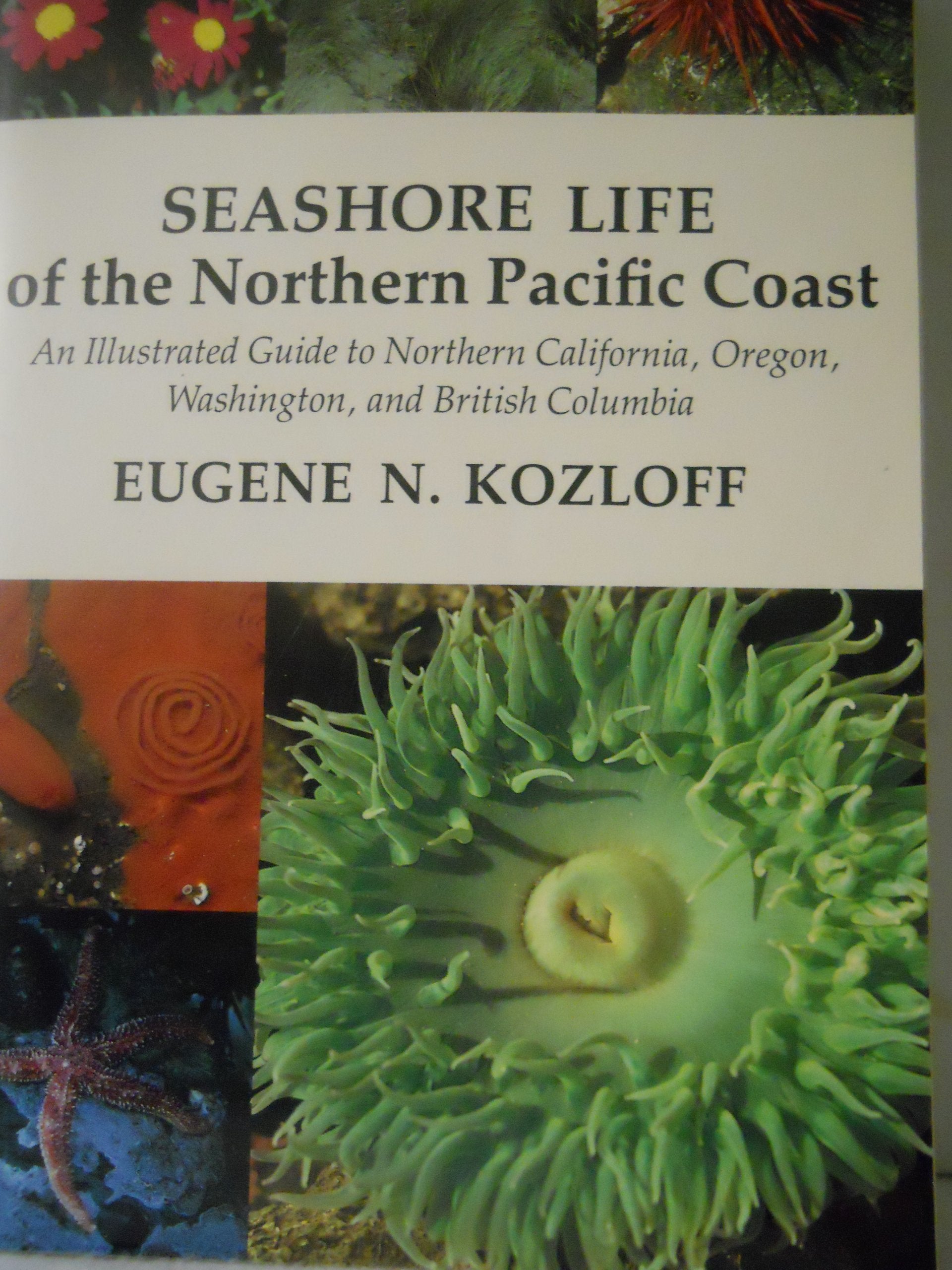 Seashore Life of the Northern Pacific Coast: An Illustrated Guide to Northern California, Oregon, Washington, and British Columbia Mathematics