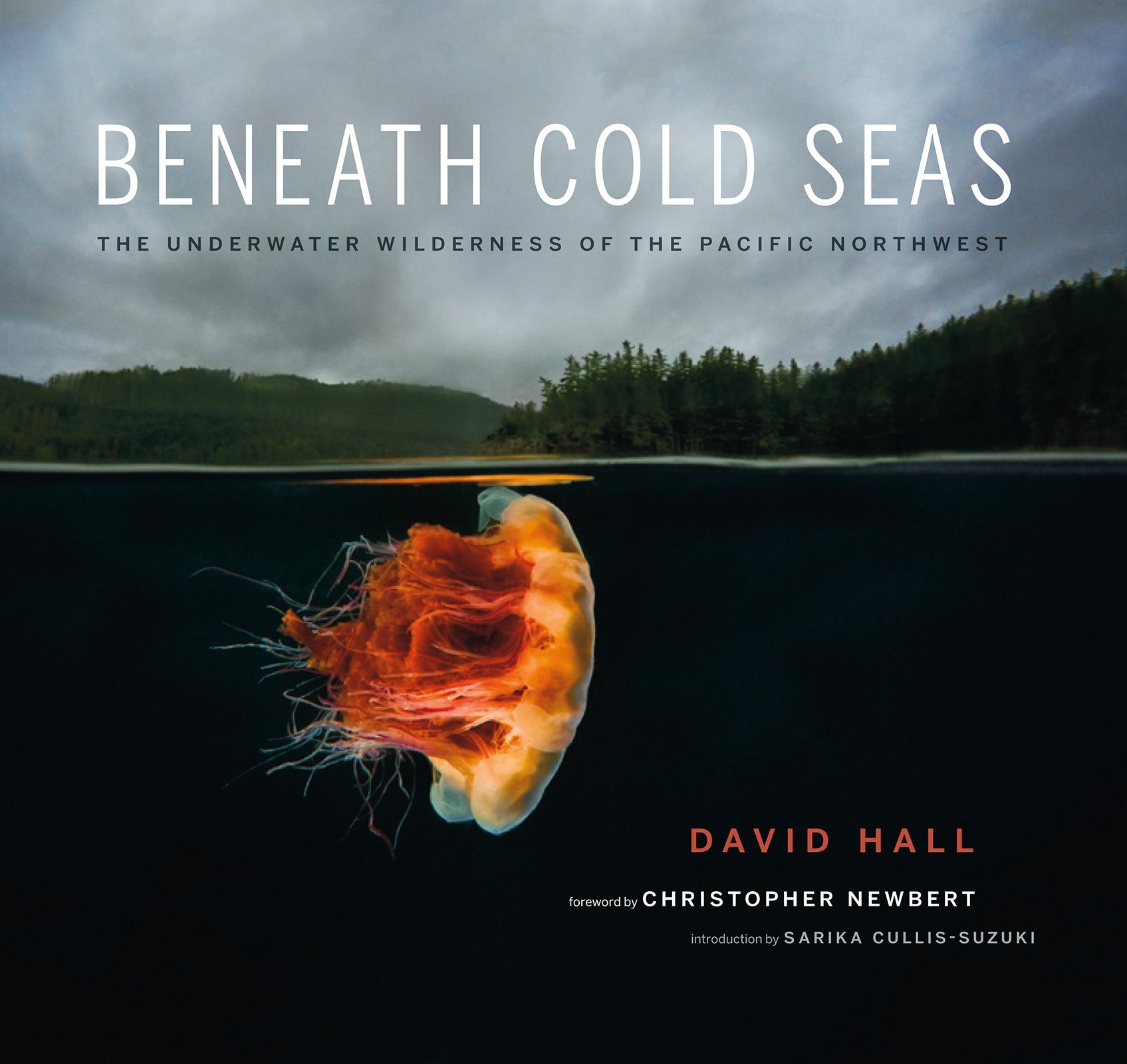 Beneath Cold Seas: The Underwater Wilderness of the Pacific Northwest Geology & Geography