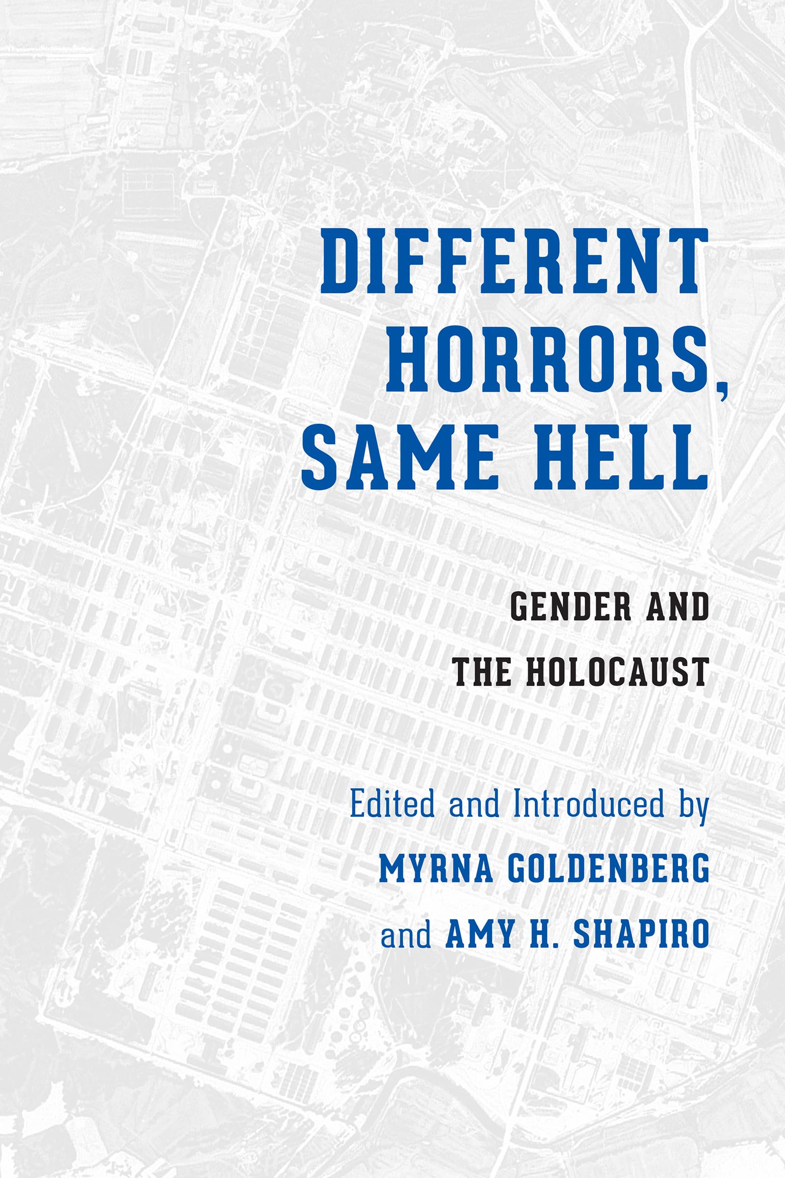 Different Horrors / Same Hell: Gender and the Holocaust (Stephen S. Weinstein Series in Post-Holocaust Studies) Social Sciences