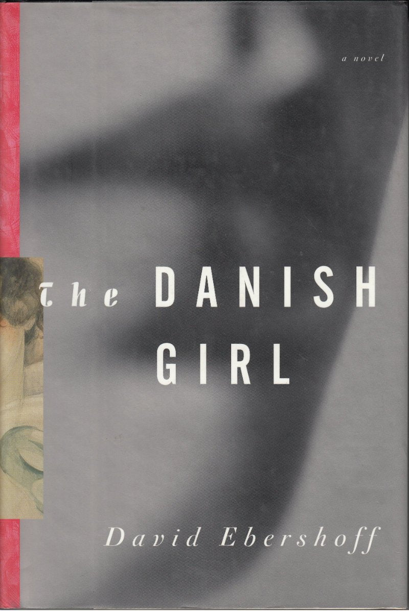 The Danish Girl Contemporary literature