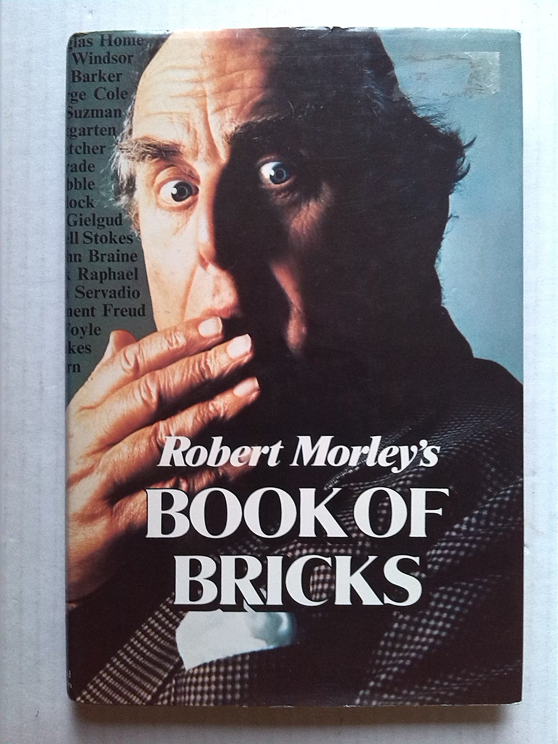 Book of Bricks Books