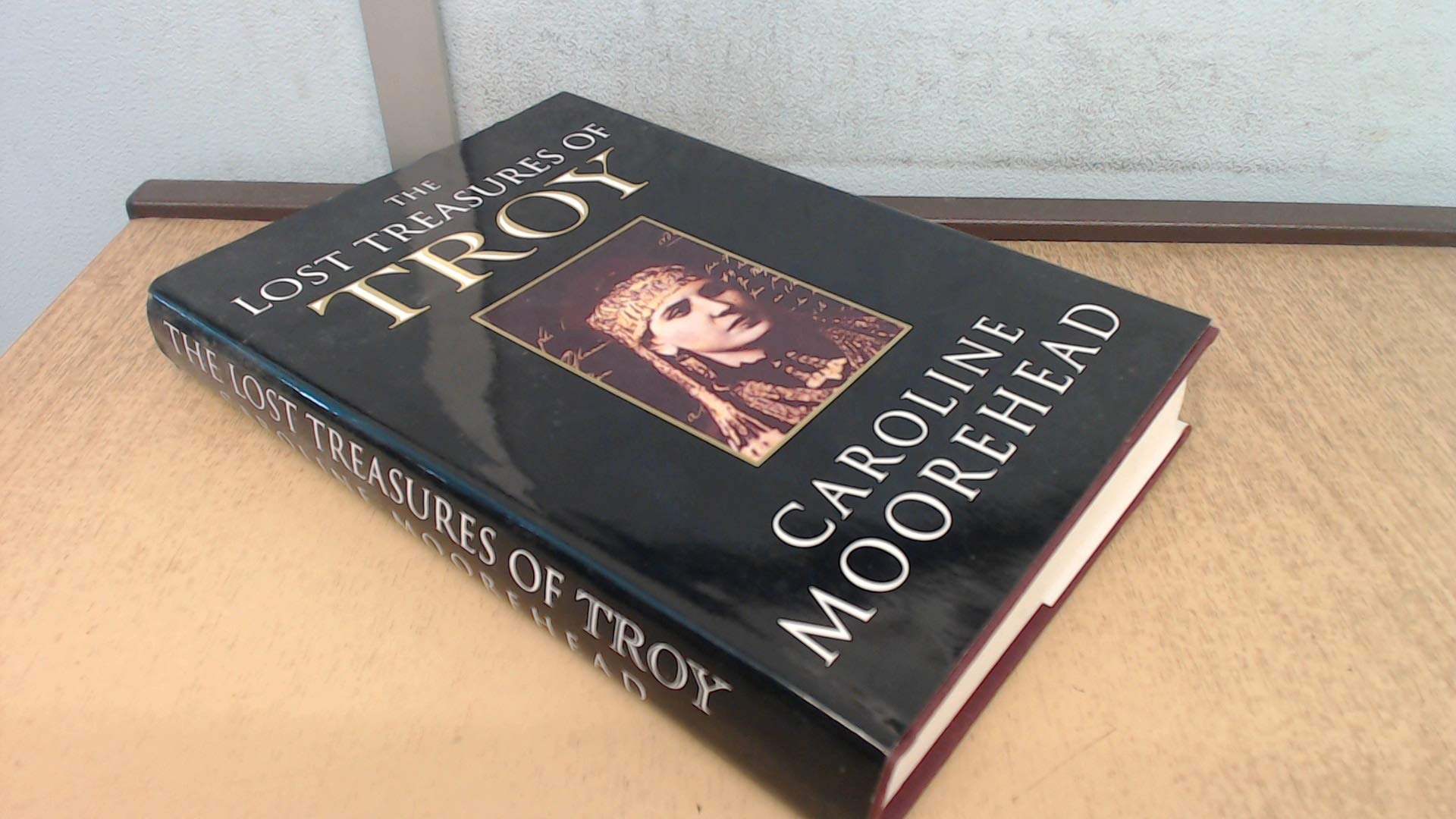 The Lost Treasures of Troy book