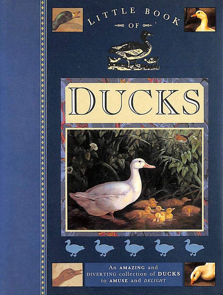 Little Book of Ducks Contemporary literature