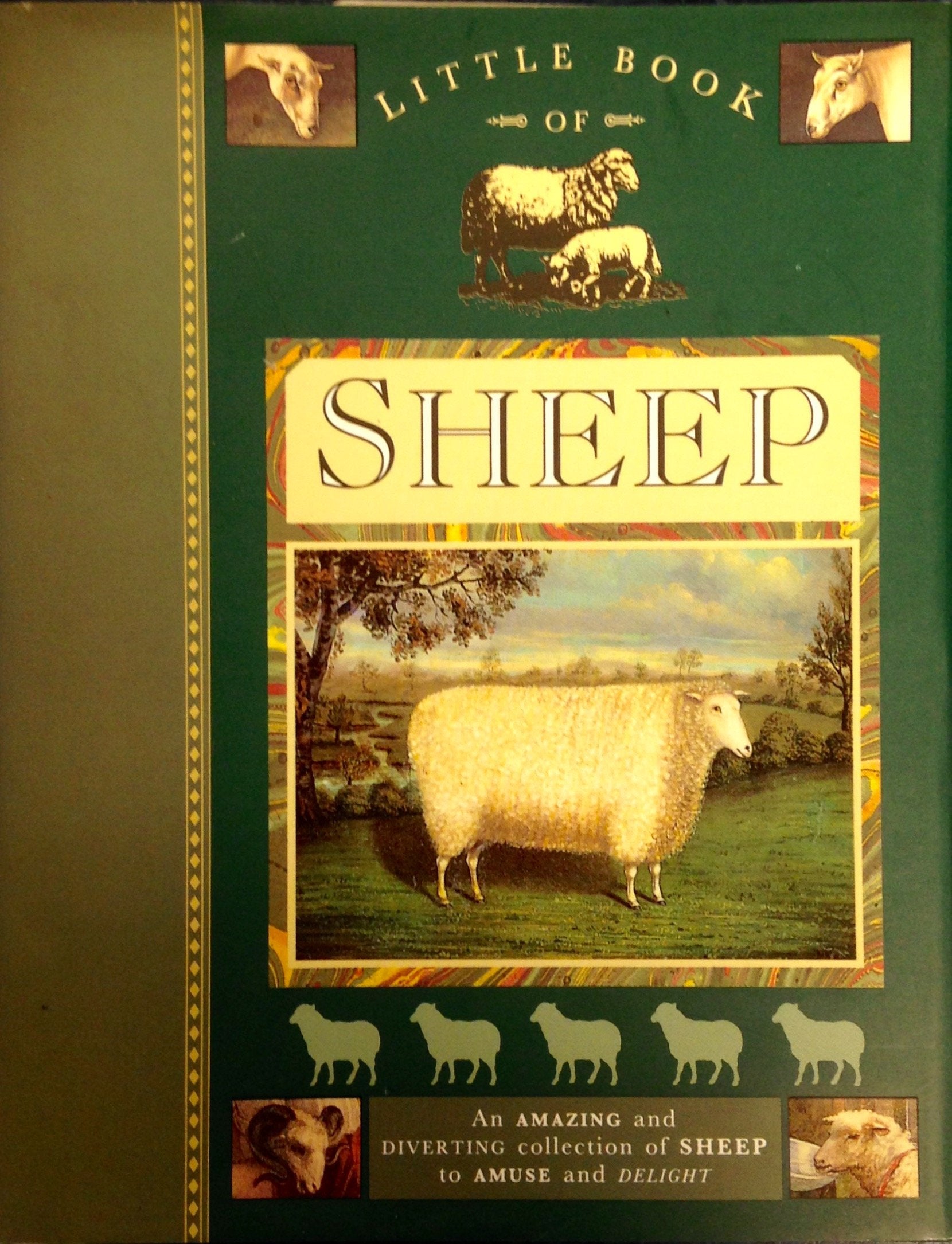 Product Image: Little Book of Sheep