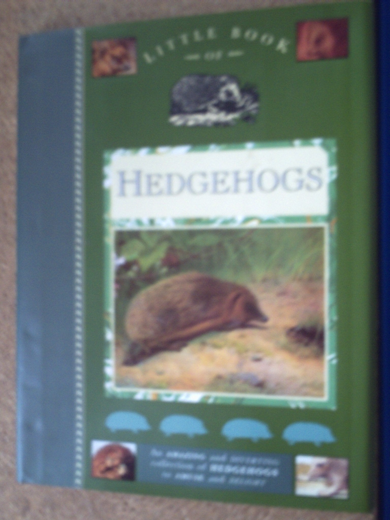 Little Book of Hedgehogs (Little Books Series) Contemporary literature