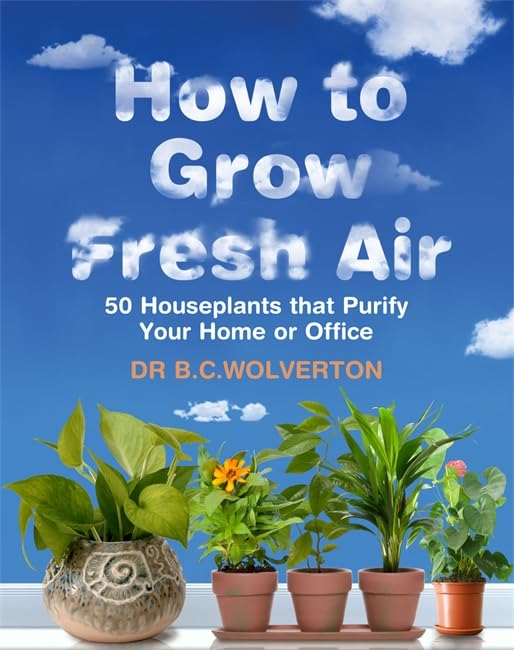 How To Grow Fresh Air: 50 Houseplants That Purify Your Home Or Office Garden & Plants