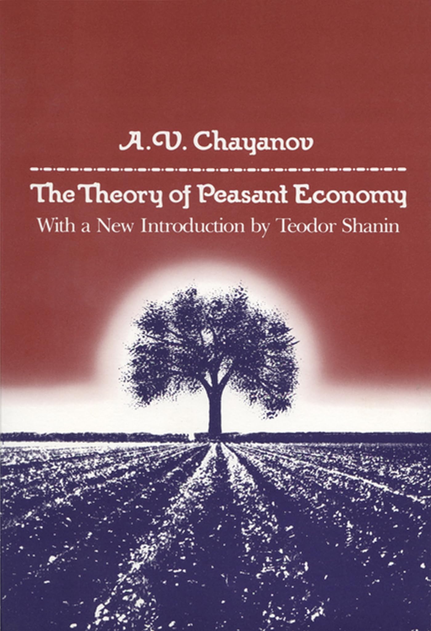 The Theory of Peasant Economy Business, Finance & Career