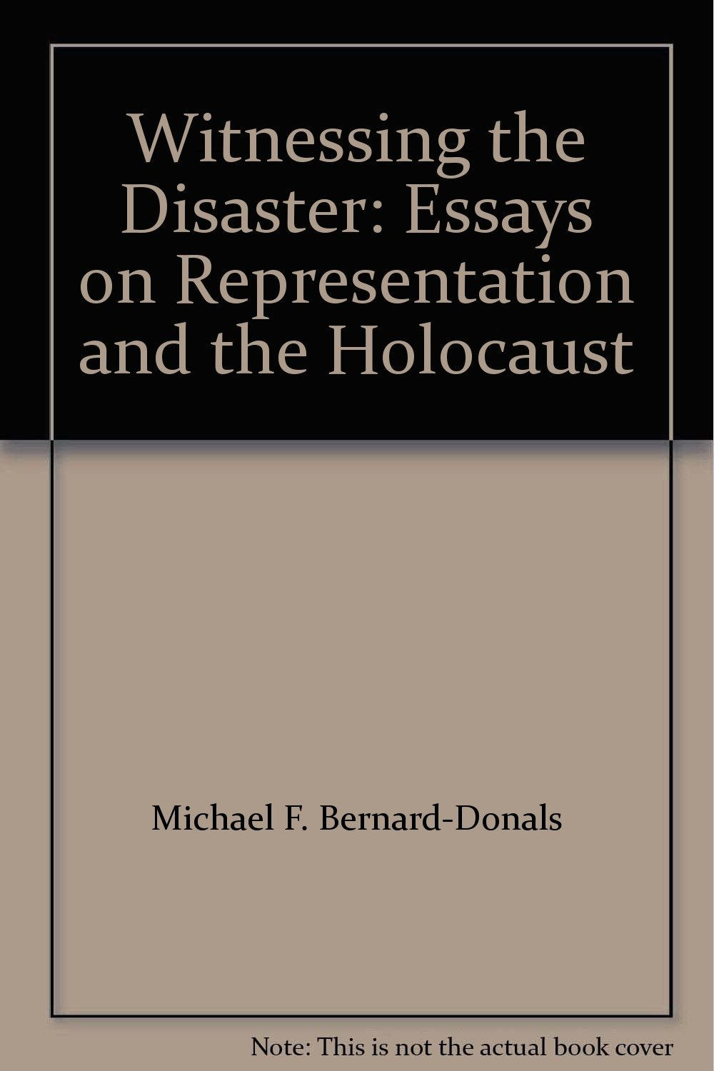Witnessing the Disaster German history